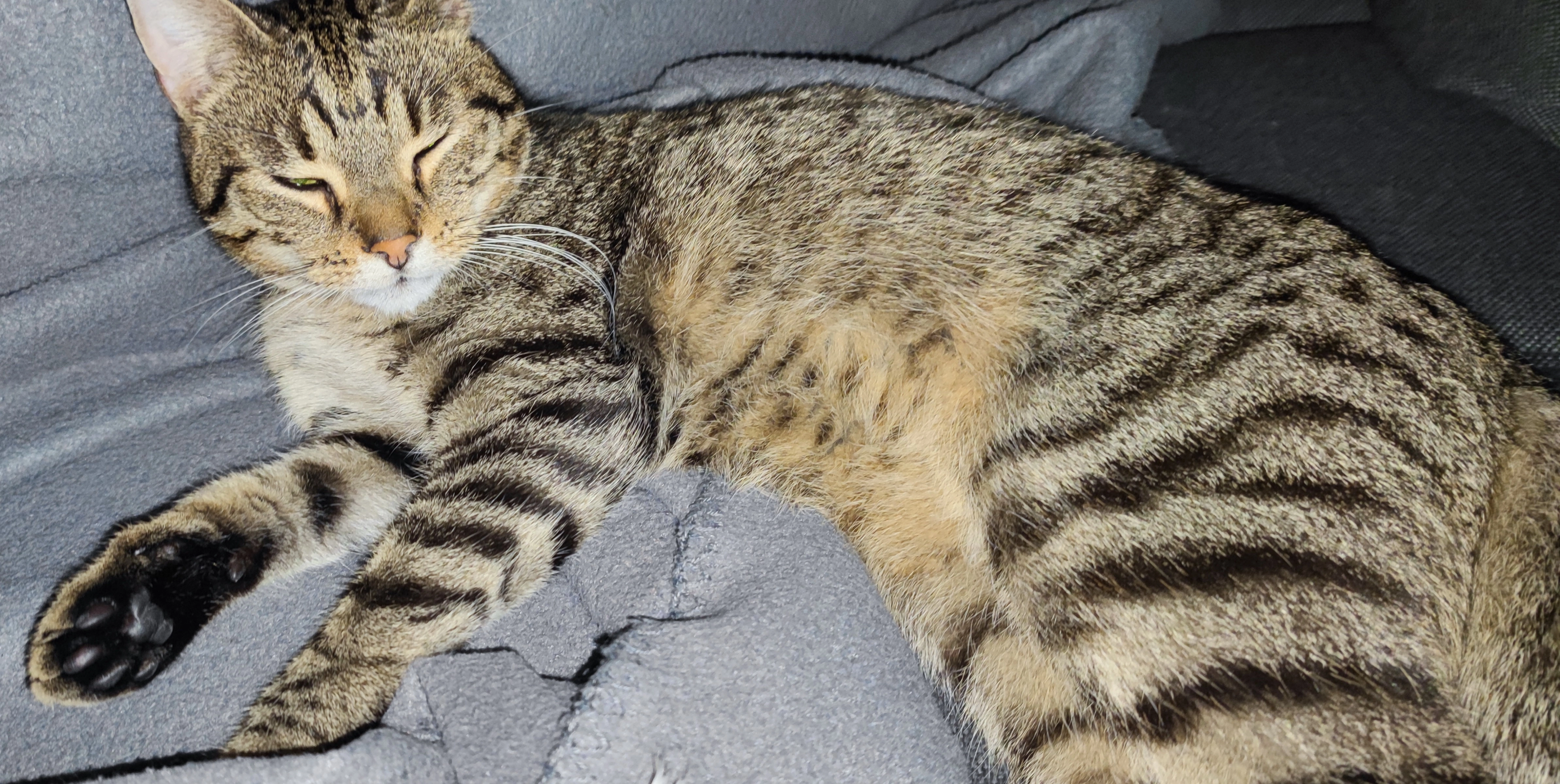 Mr. Blue - Saarlouiser Weg, Merzig