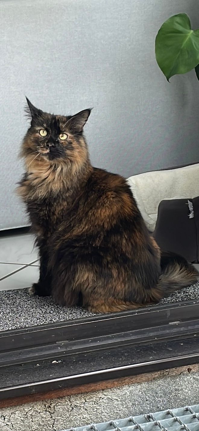 Mia - Promenade, Arnsberg