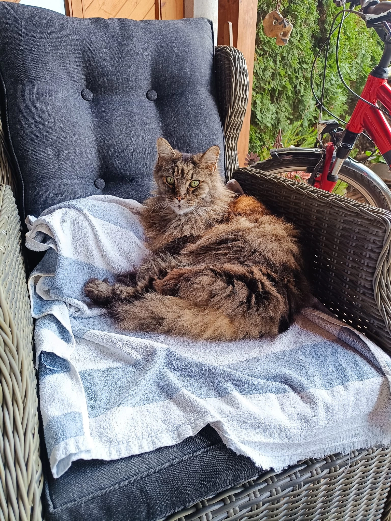 Lumpi  - Passeier Straße, Panketal