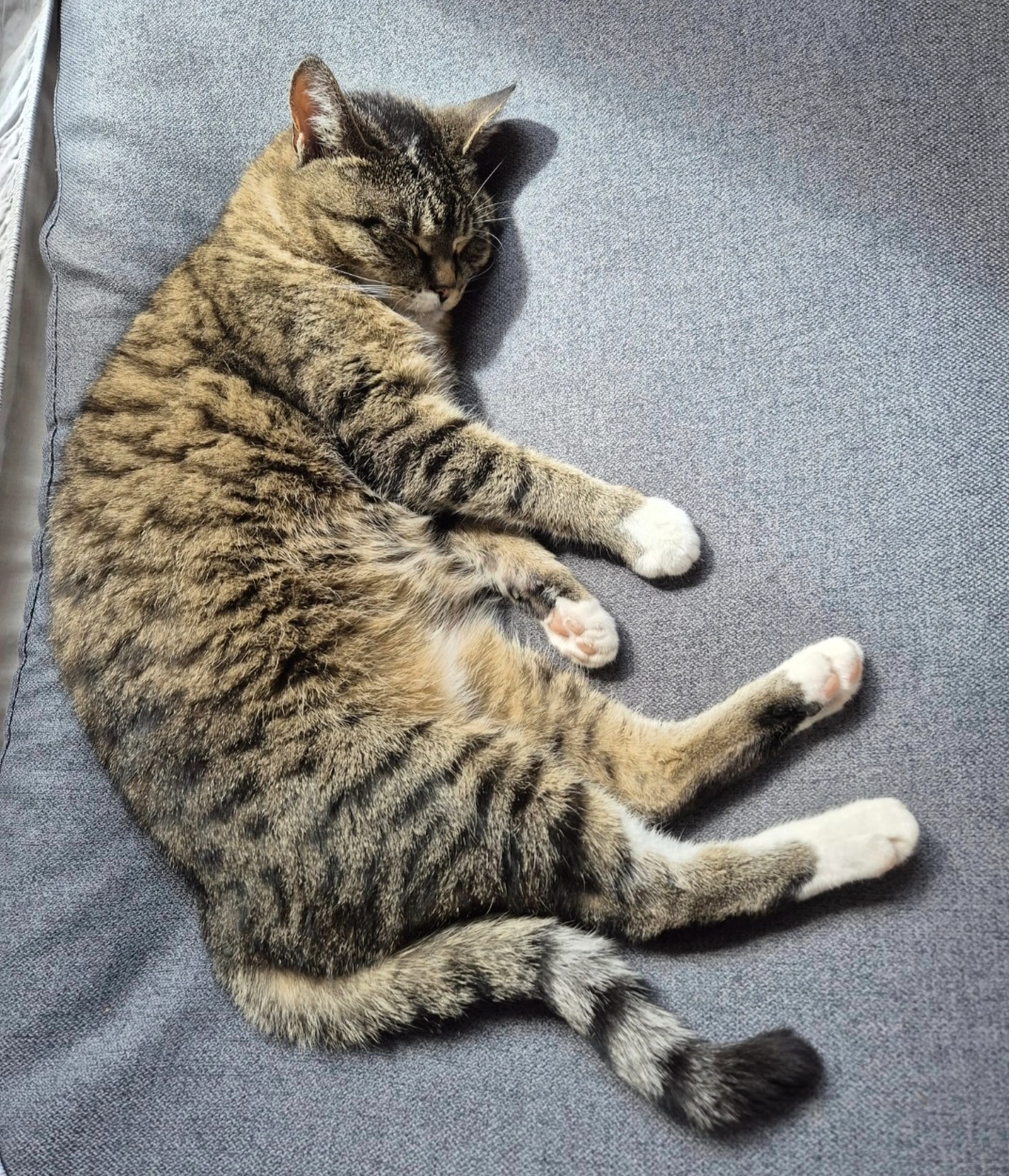 Mucki - Wetzgauer Straße, Mutlangen