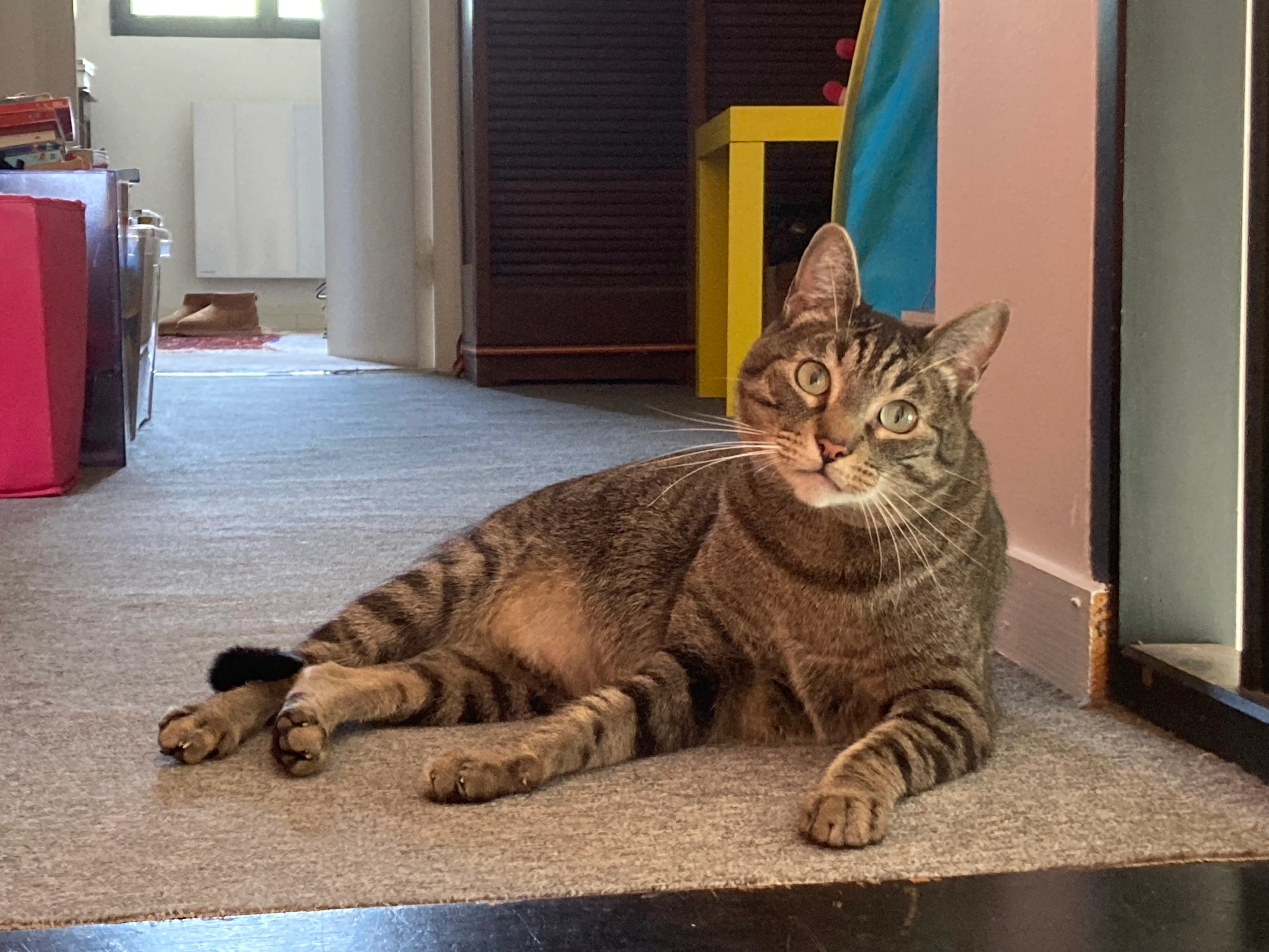 Swann - 15 Rue du Moulin, Les Mesnuls