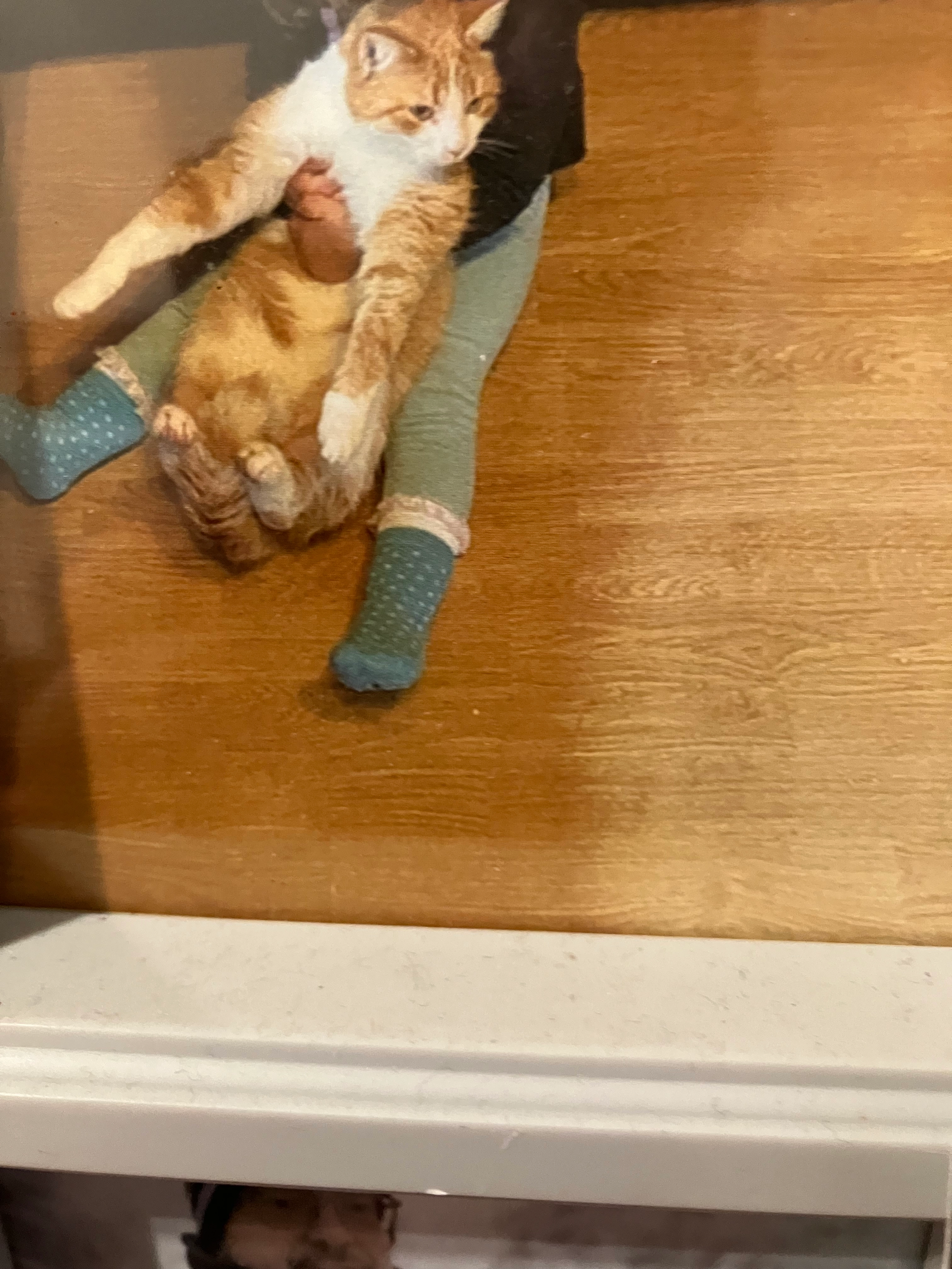 Straky - Schlenkenstraße, Freilassing