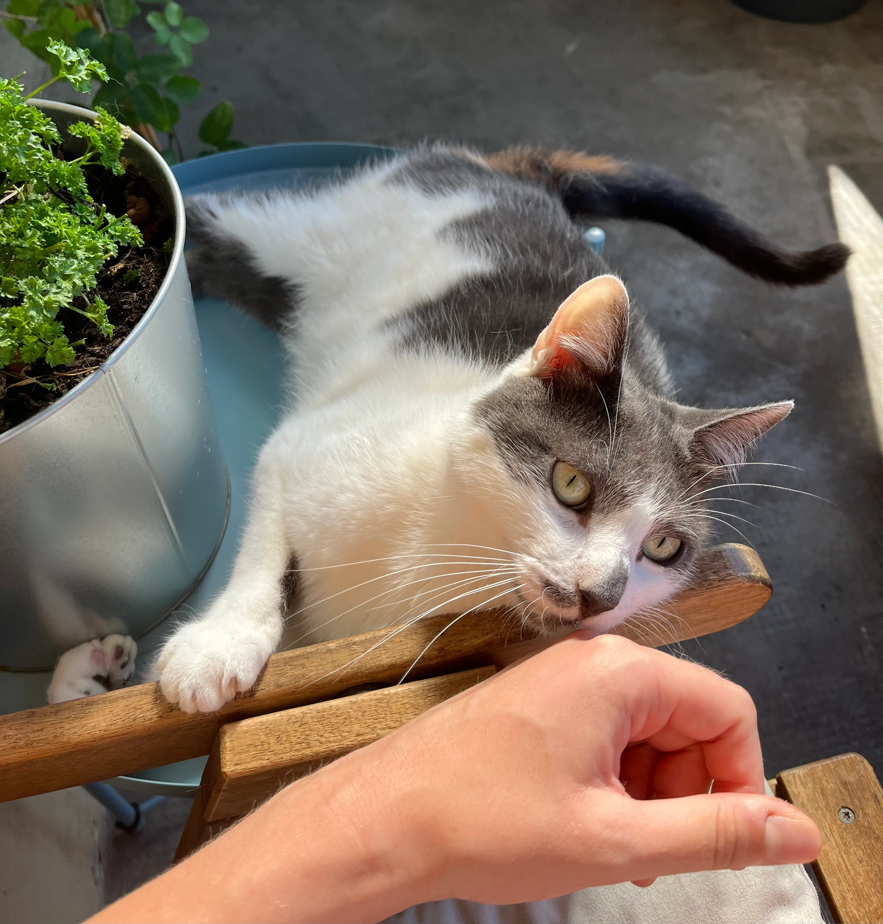 Azul - Neuweilerstrasse 60, Basel