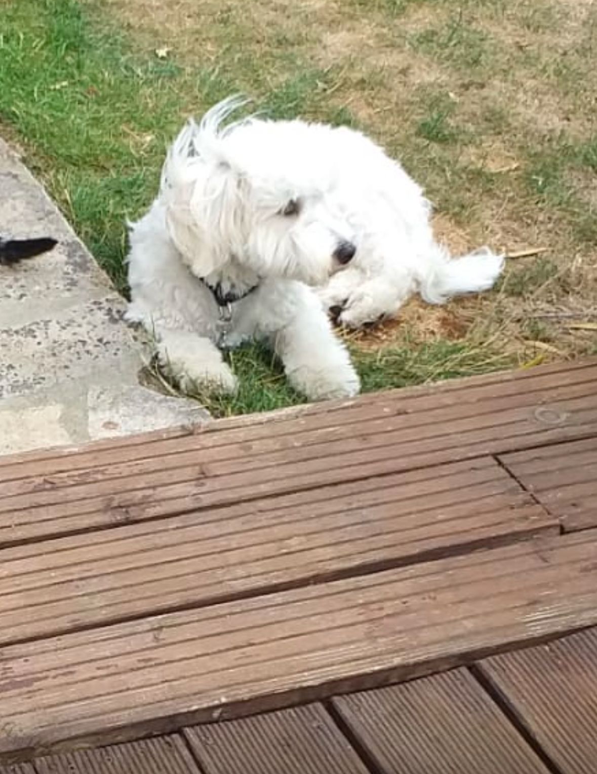 Uggy - Rue des Verdiers, Corbas