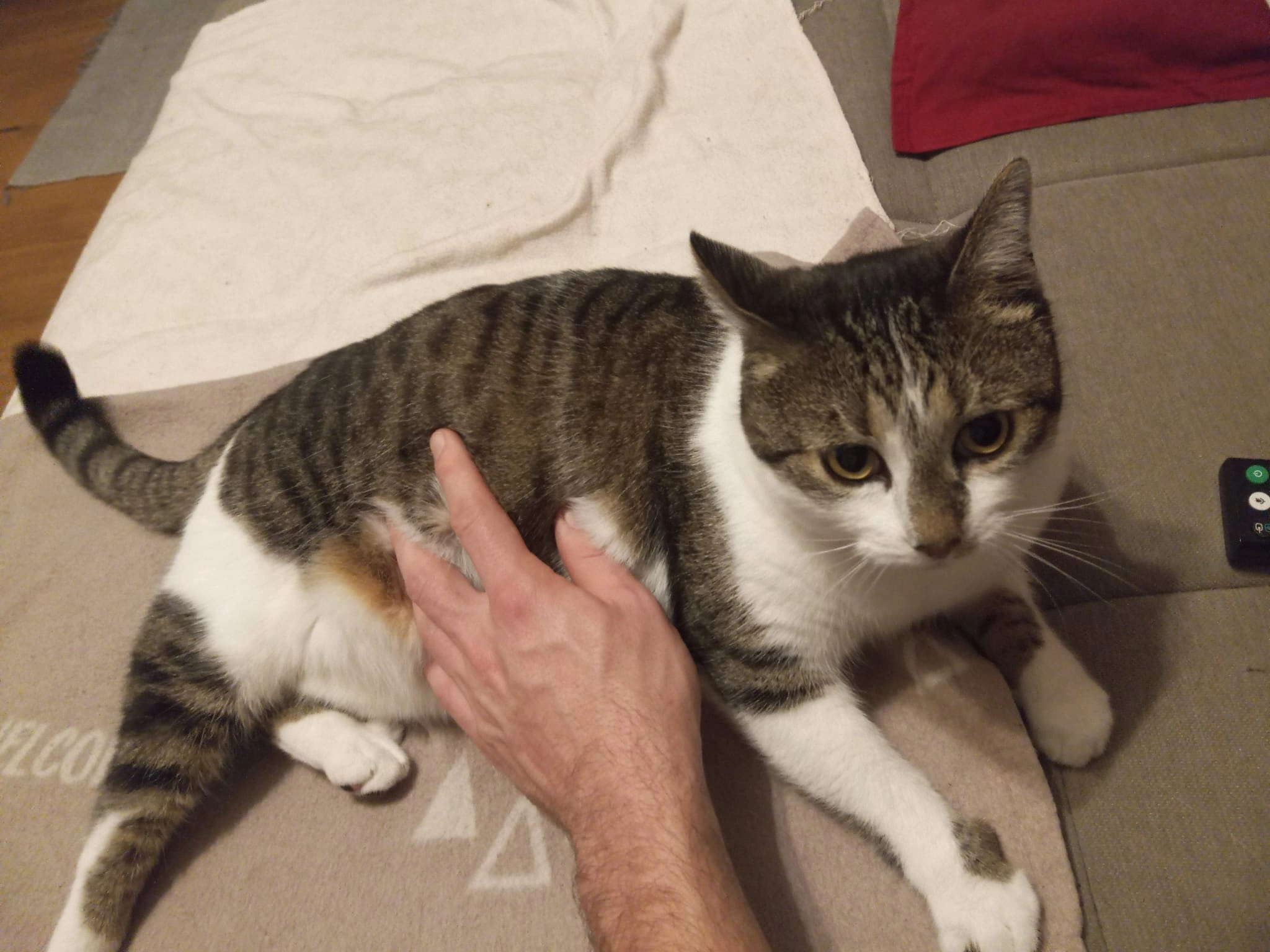 Isidor - Baiernstraße 131, Graz