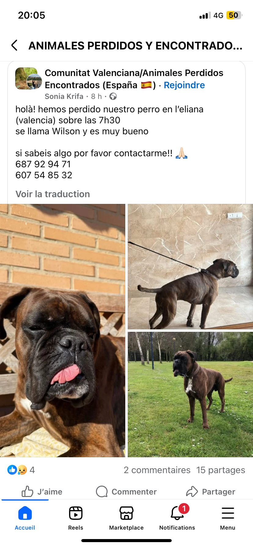 Wilson - Avinguda Torre del Virrey, l'Eliana