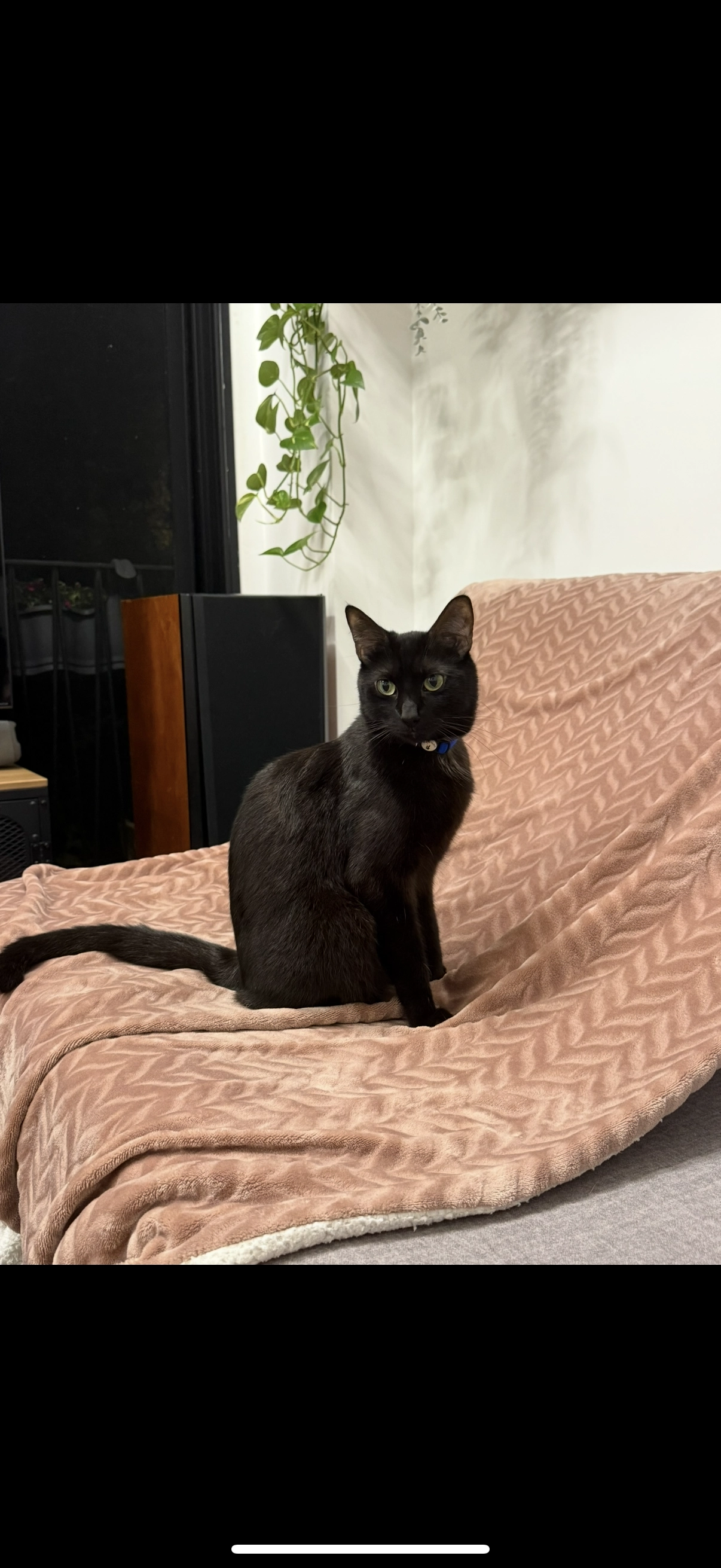 Moose - Bezalel, Tel Aviv