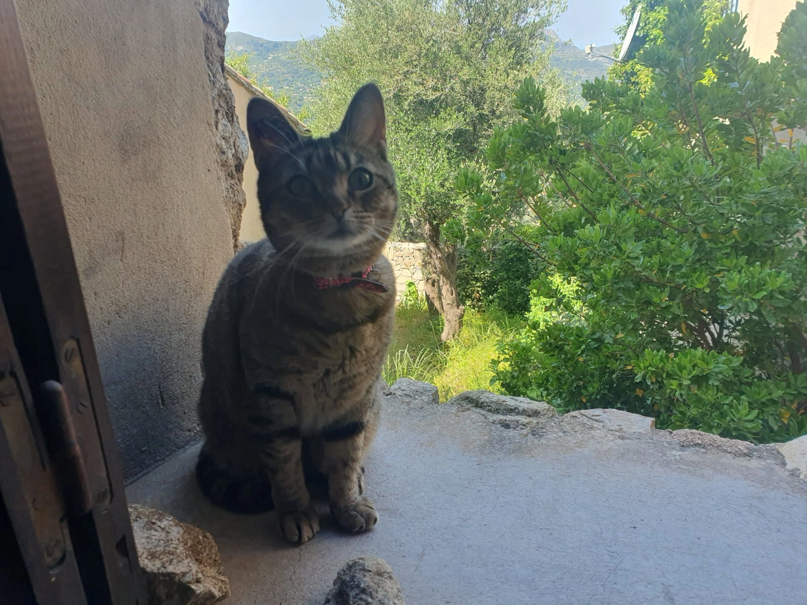 Wendy - 21 Rue du Capitaine Colonna, Toulon