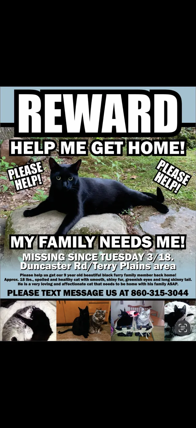 BooBoo - Duncaster Rd, Bloomfield