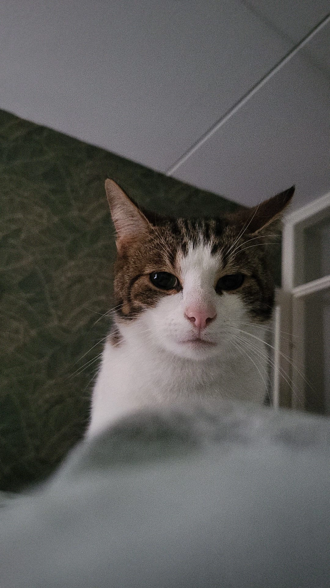 Smoes - Loperstraat, Klazienaveen