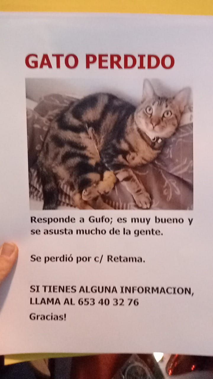 Gufo - Retama, Murcia