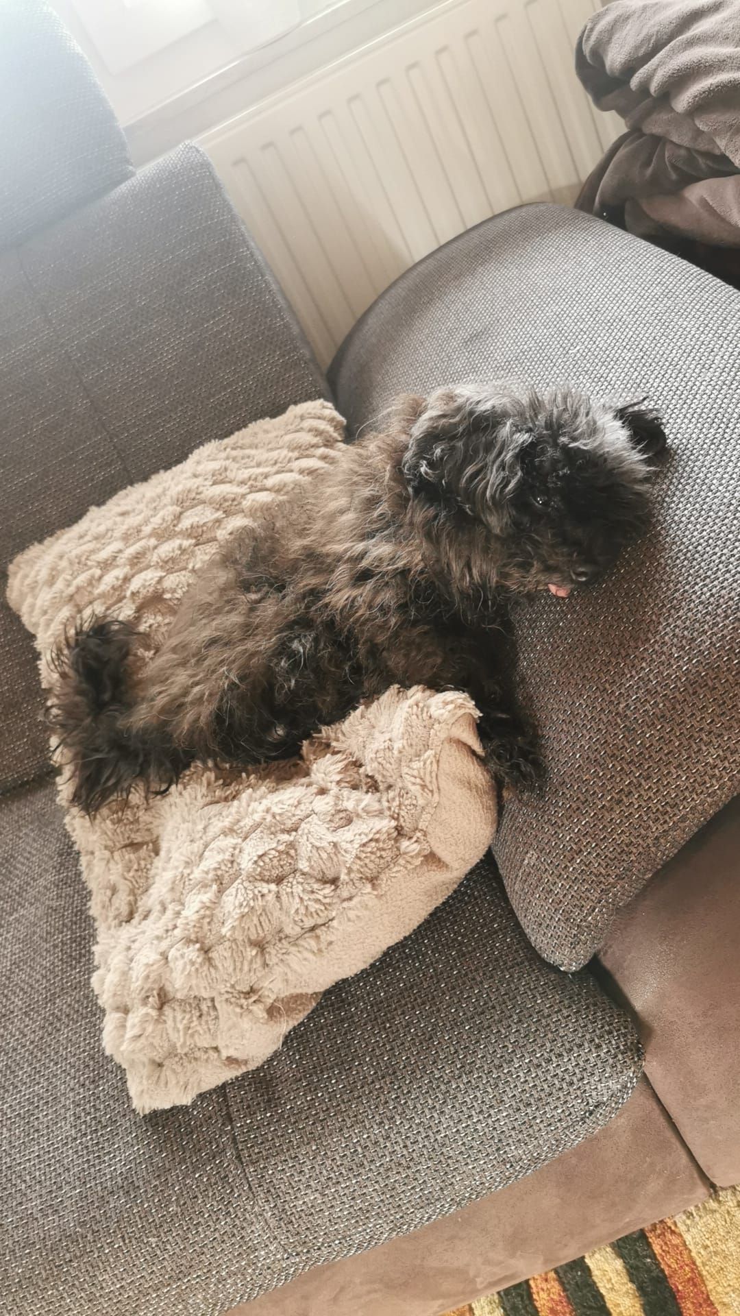 Pascal - Josef-Kaiser-Straße, Lingen