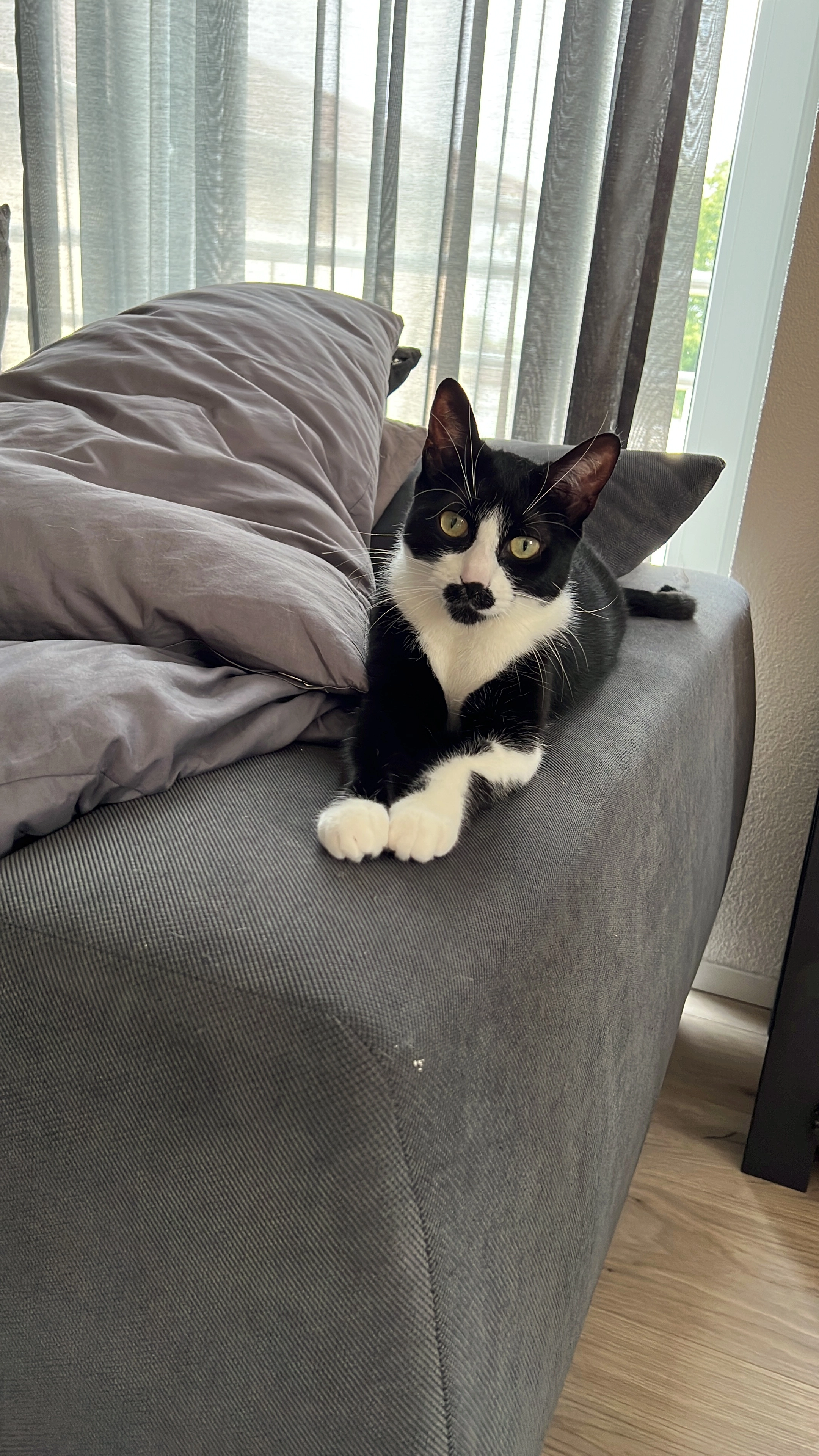 Loki - Reesweg, Kehl