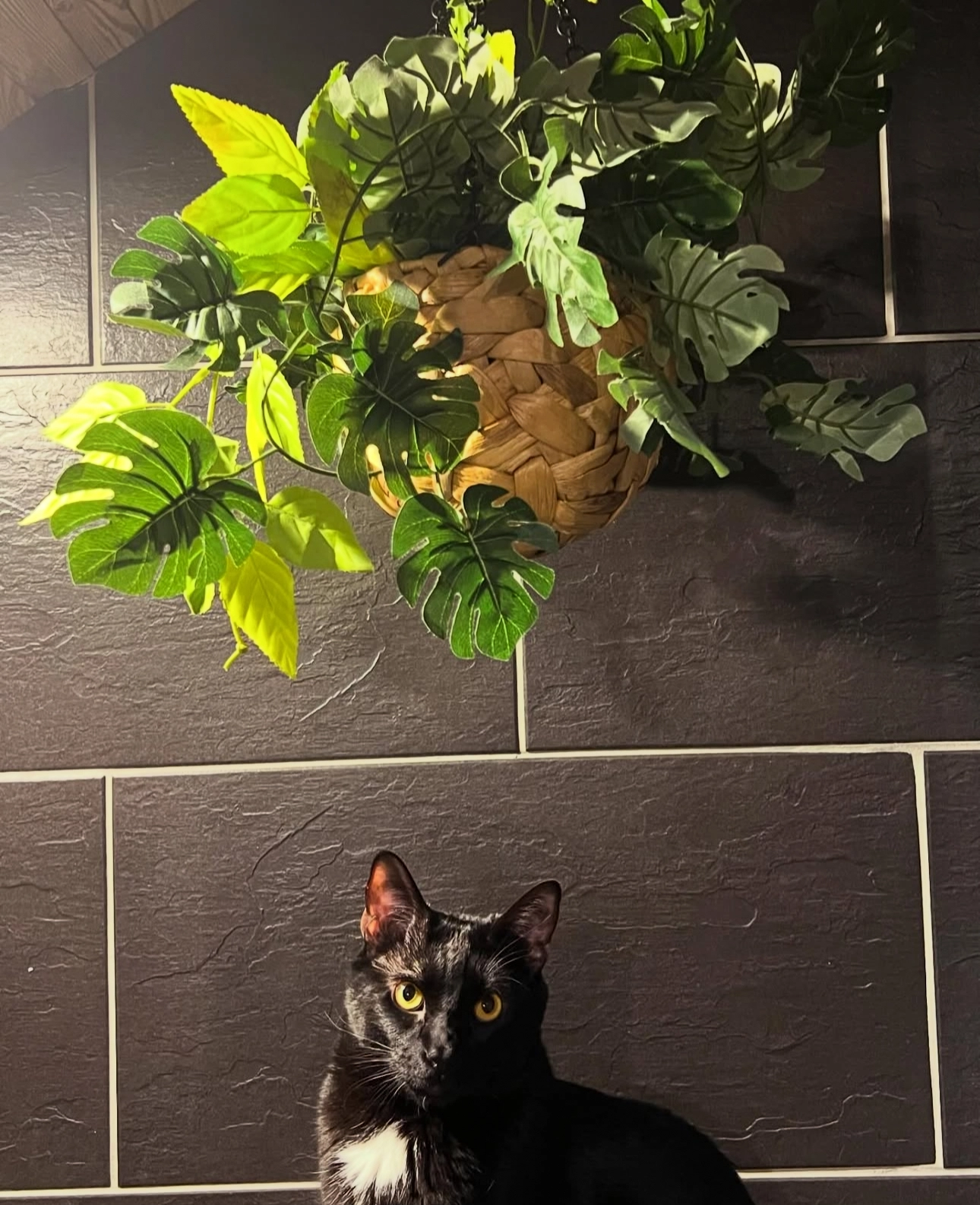 Malo  - Rue Des Rois Mages, Savièse