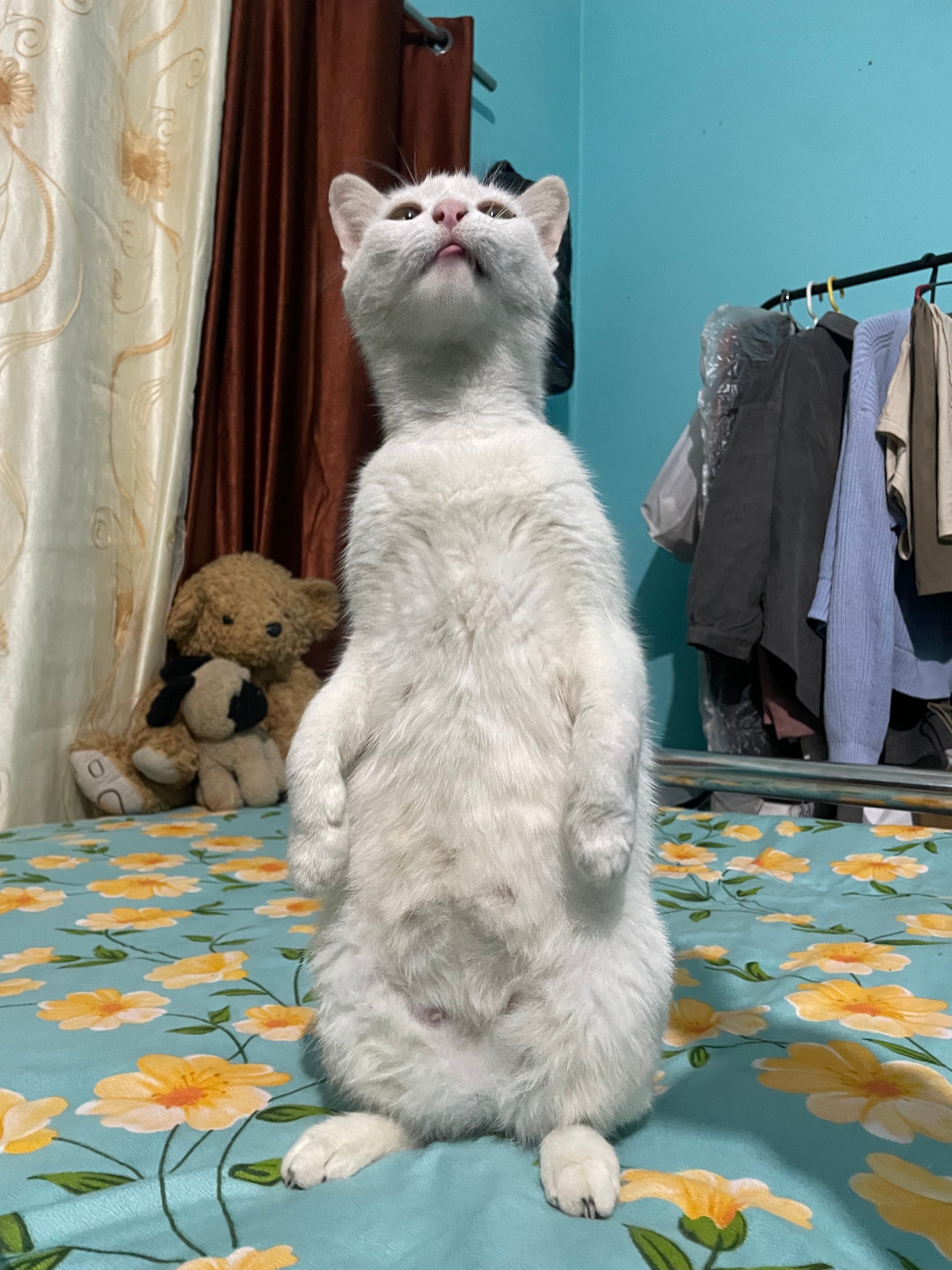 Spirit  - Nh27, Siliguri