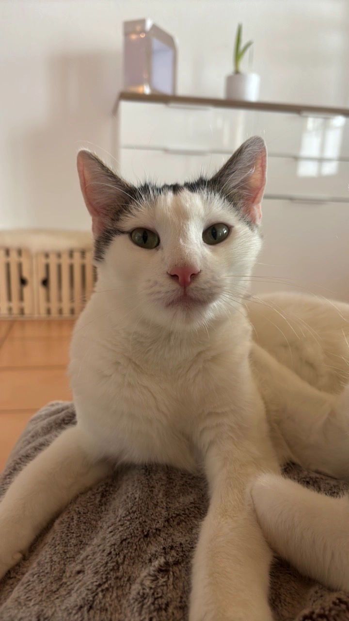 Sämi - Moosweg 2, Wattenwil