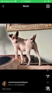 Moses - Allangrange Mains Cottages, Munlochy