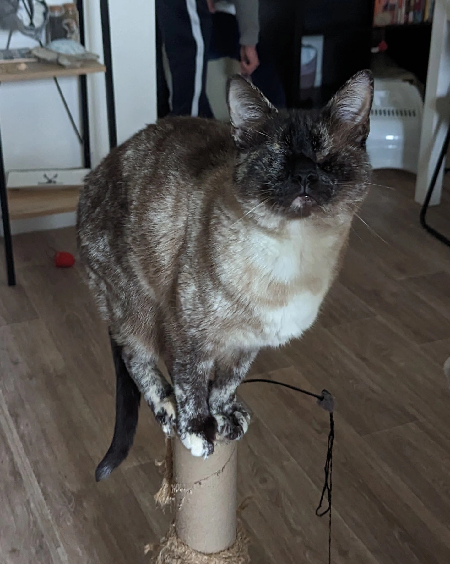 Adorea - 105 Chemin du Moulin, Bonloc