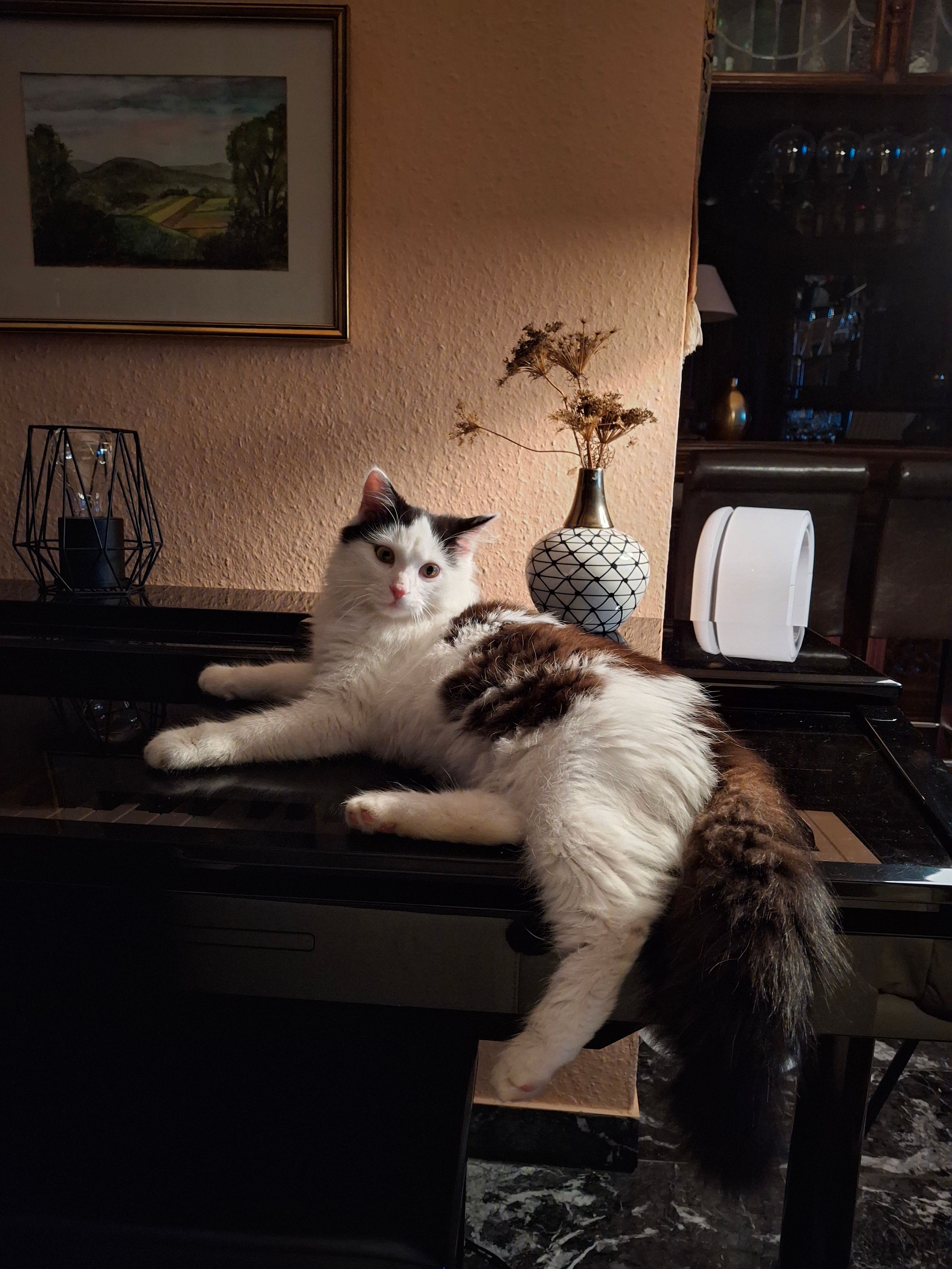 Pauli - Langenecker Straße, Wurmannsquick