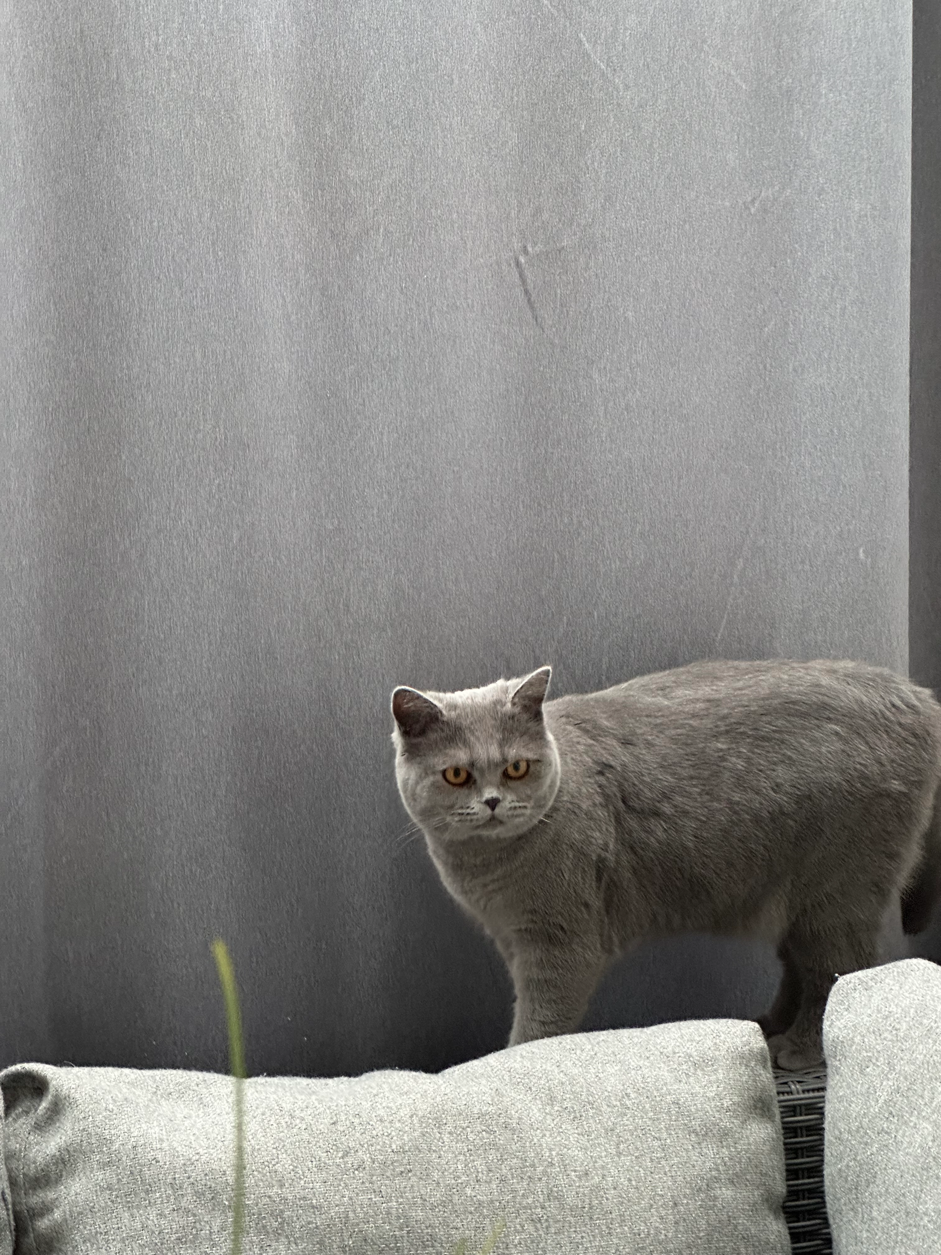 Luna - Kurfürstenstraße, Bocholt