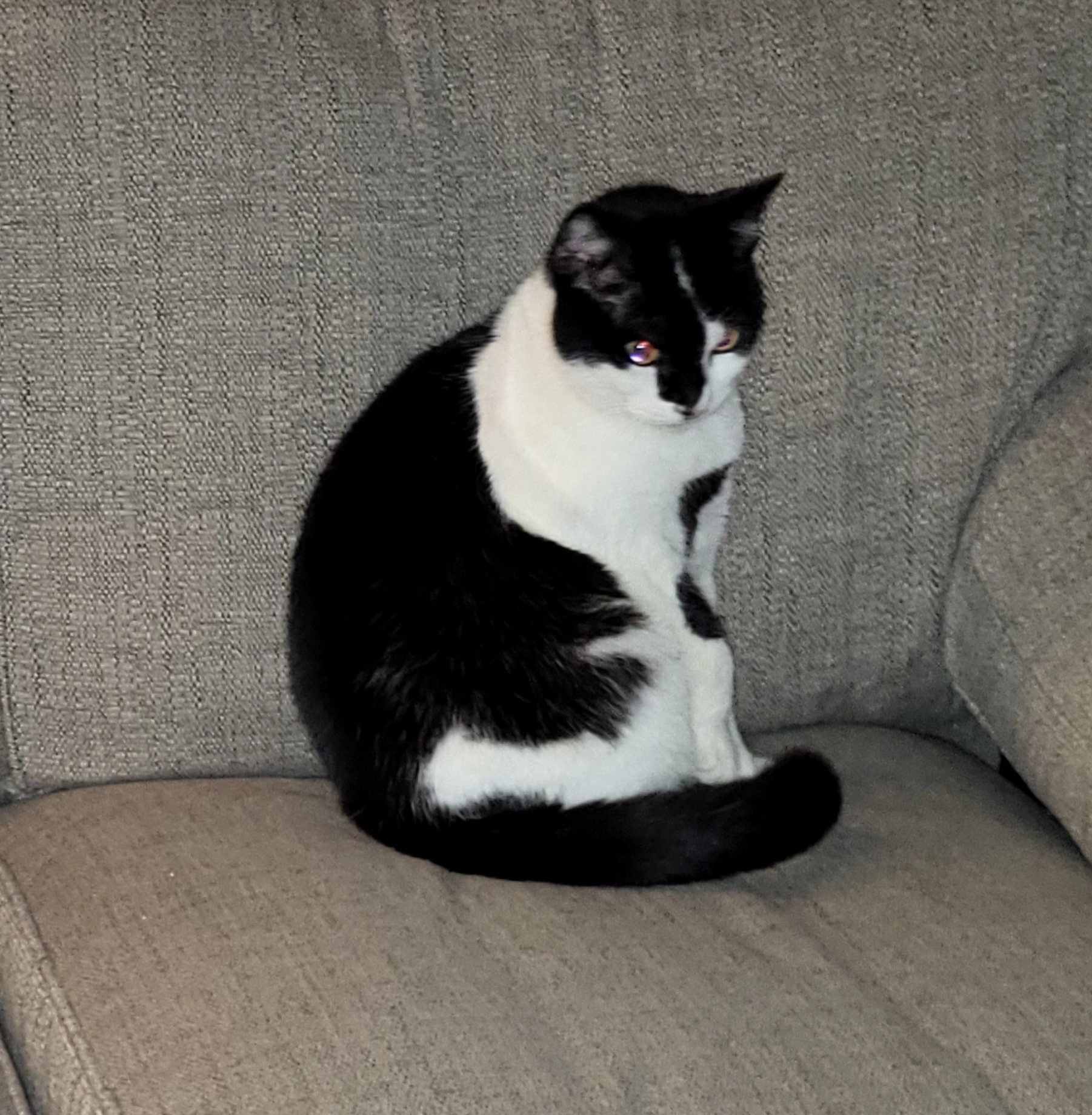 Bubbles - Colne Road, Colchester