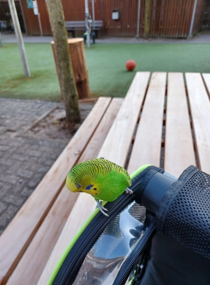 Puck  - Stationsstraat, Hardenberg