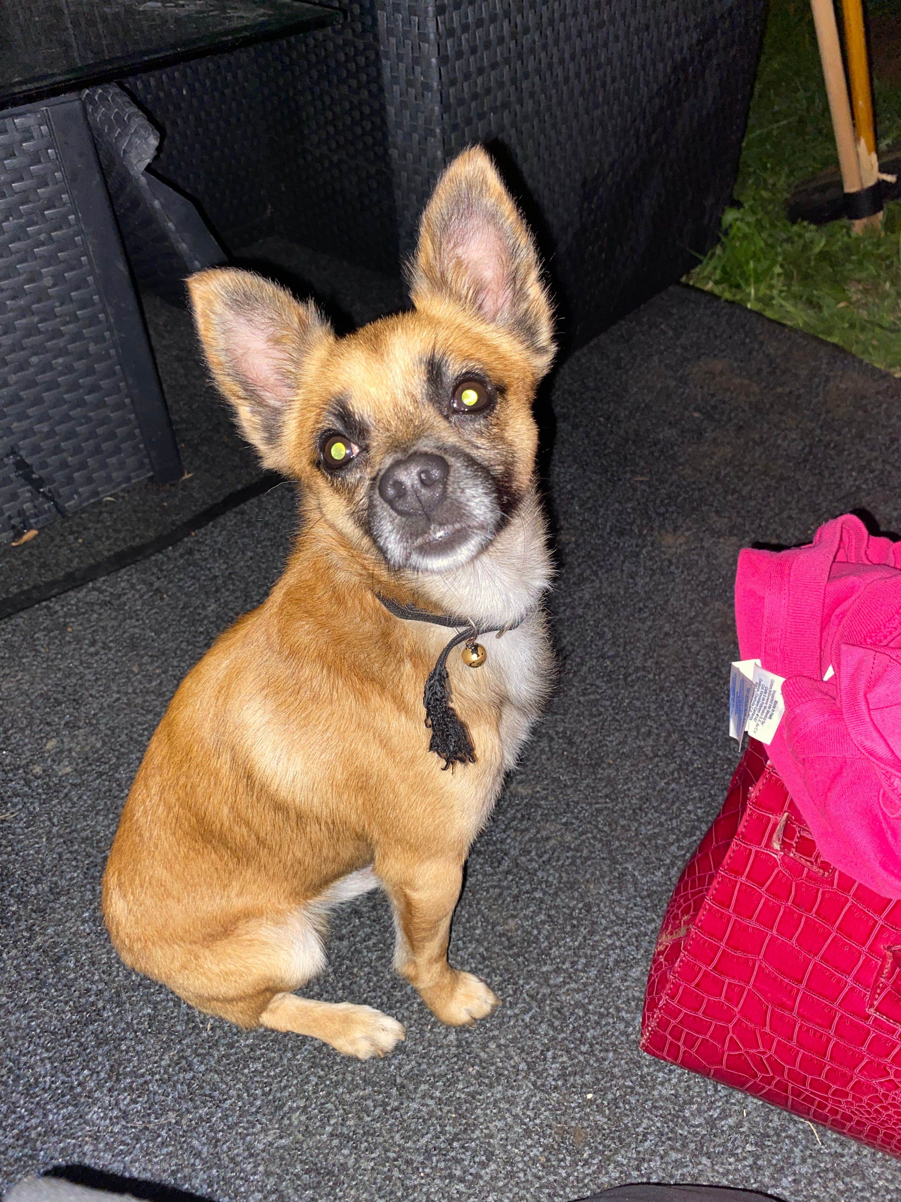 Jimi - Kiltalown Path, Lucan