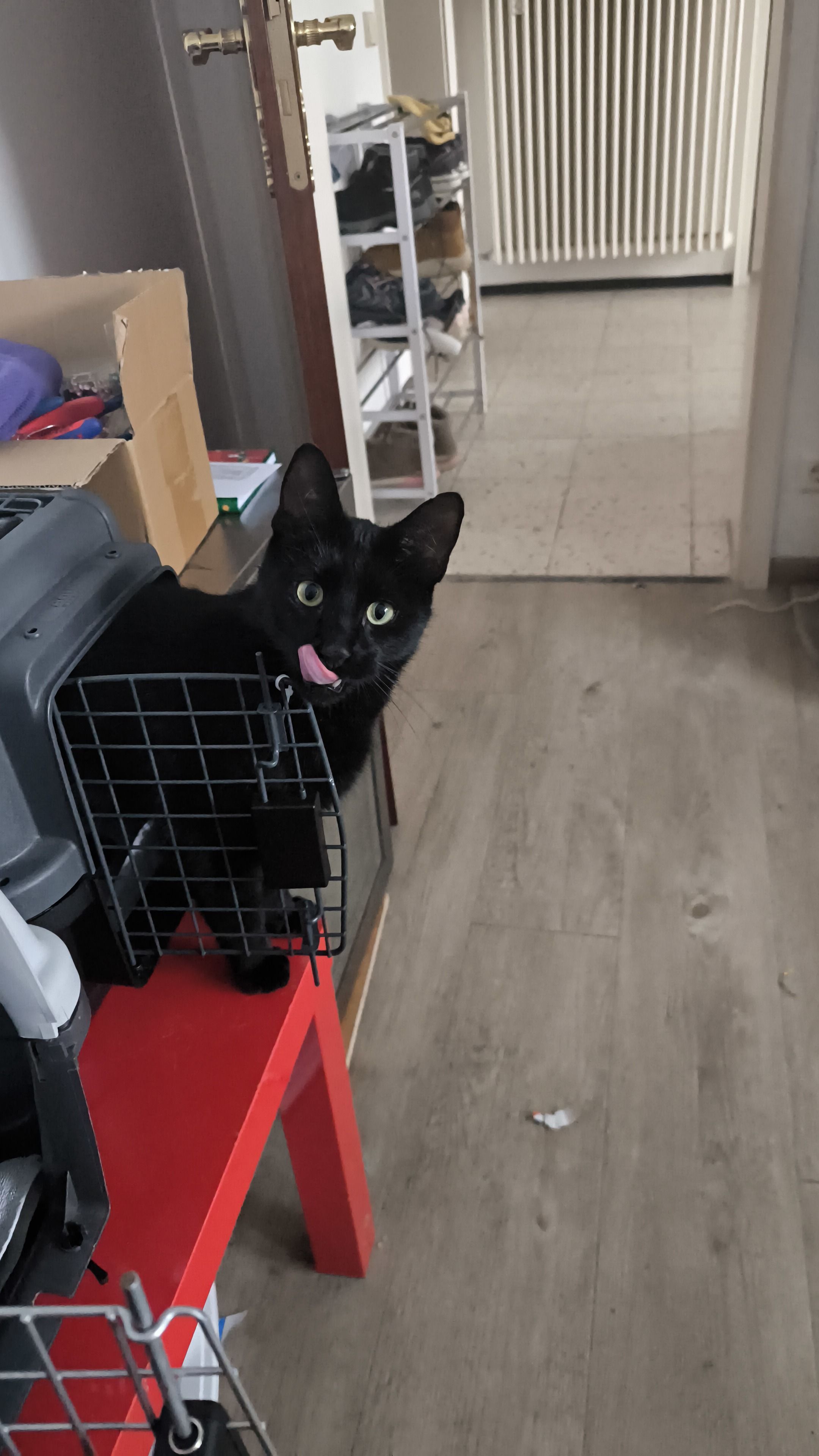 Merlin - Tannenstraße, Göppingen