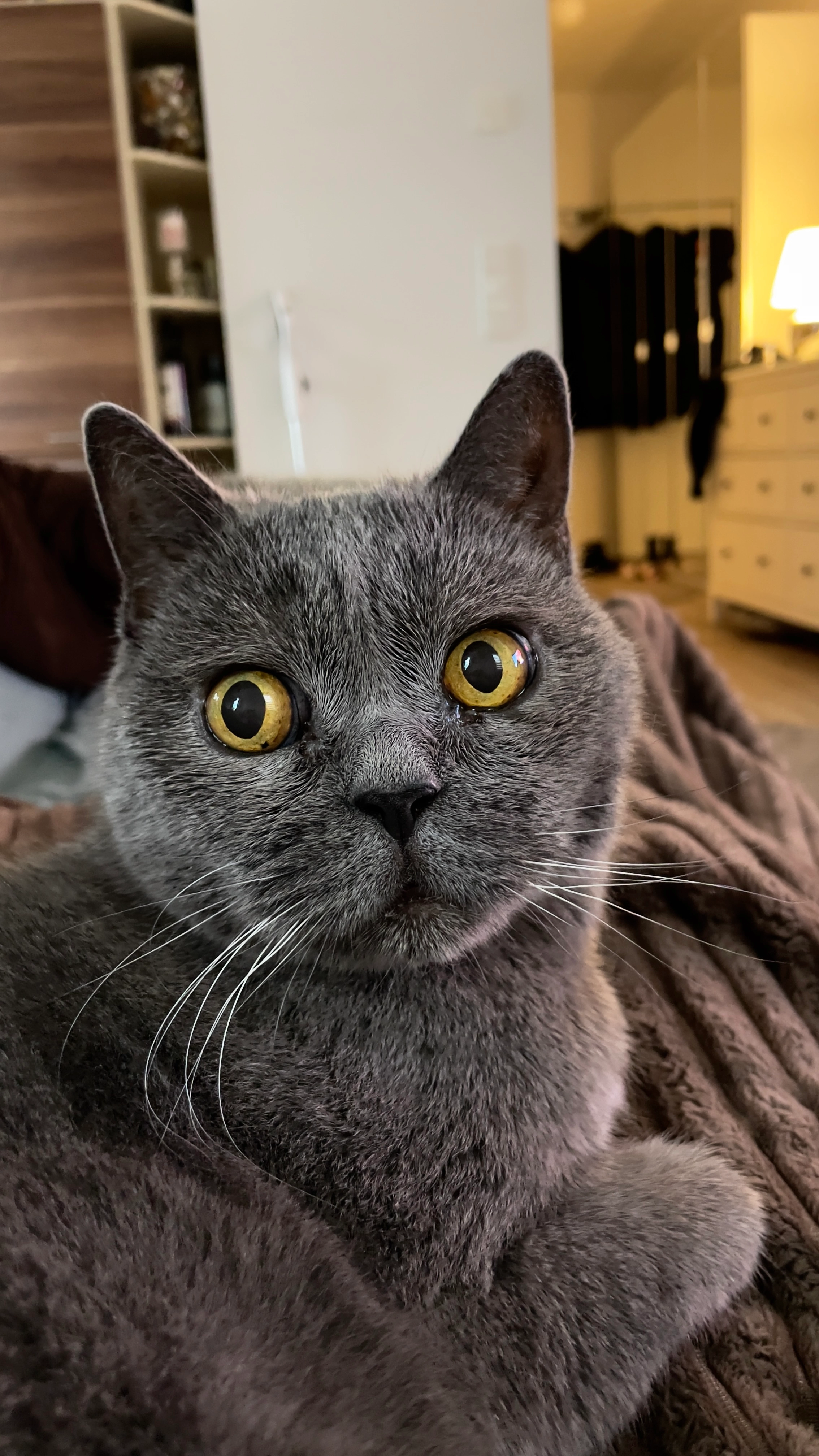 Diego - Prignitzstraße, Berlin