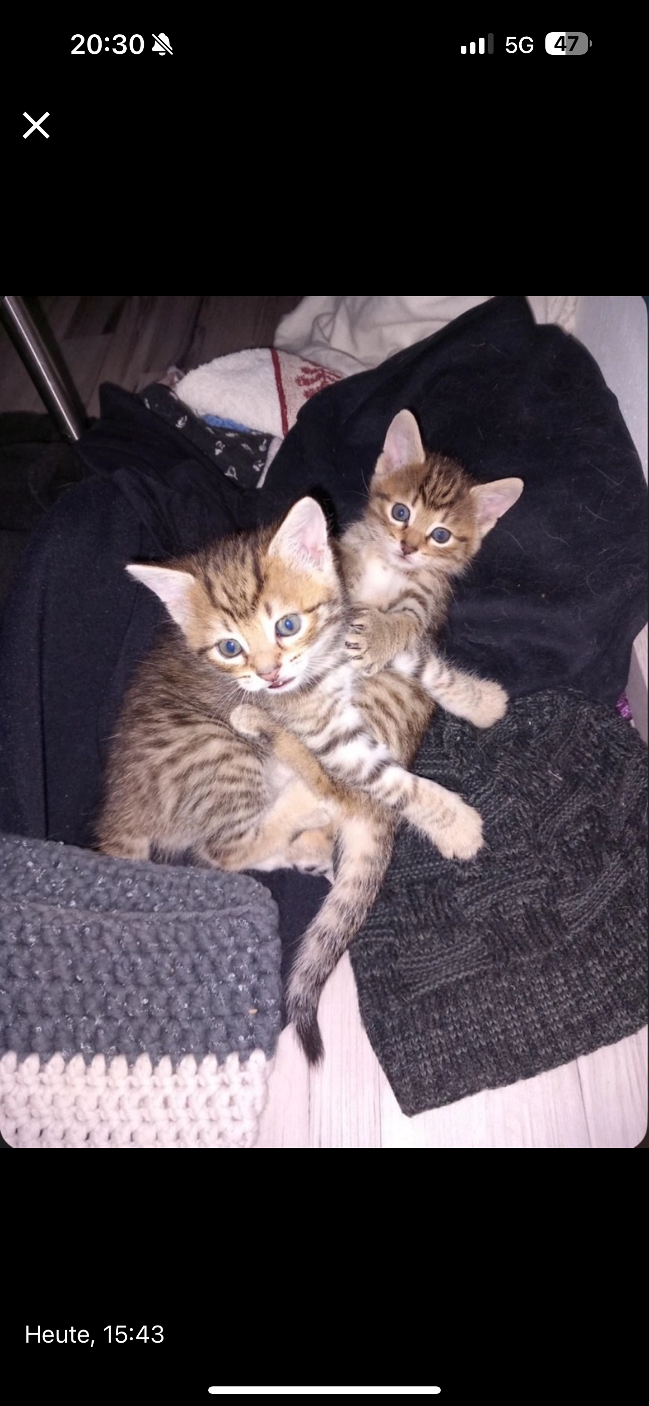 Mia - Richtstraße, Villach