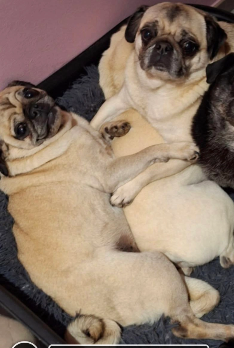 Nina et Arthur  - Rue Bailesse, Saint-Georges-sur-Meuse