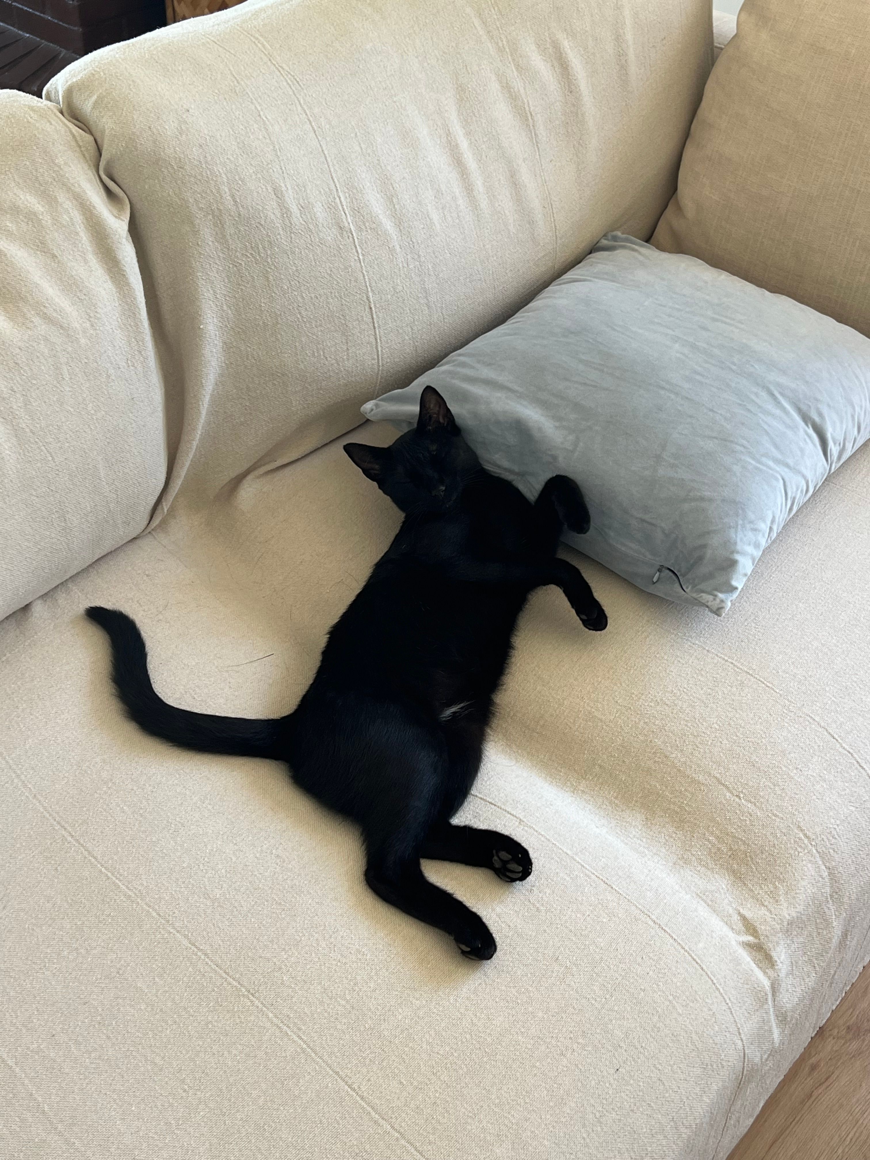 Bran - Ar La Culebra (Sup.B-10) (Benajarafe), Vélez-Málaga