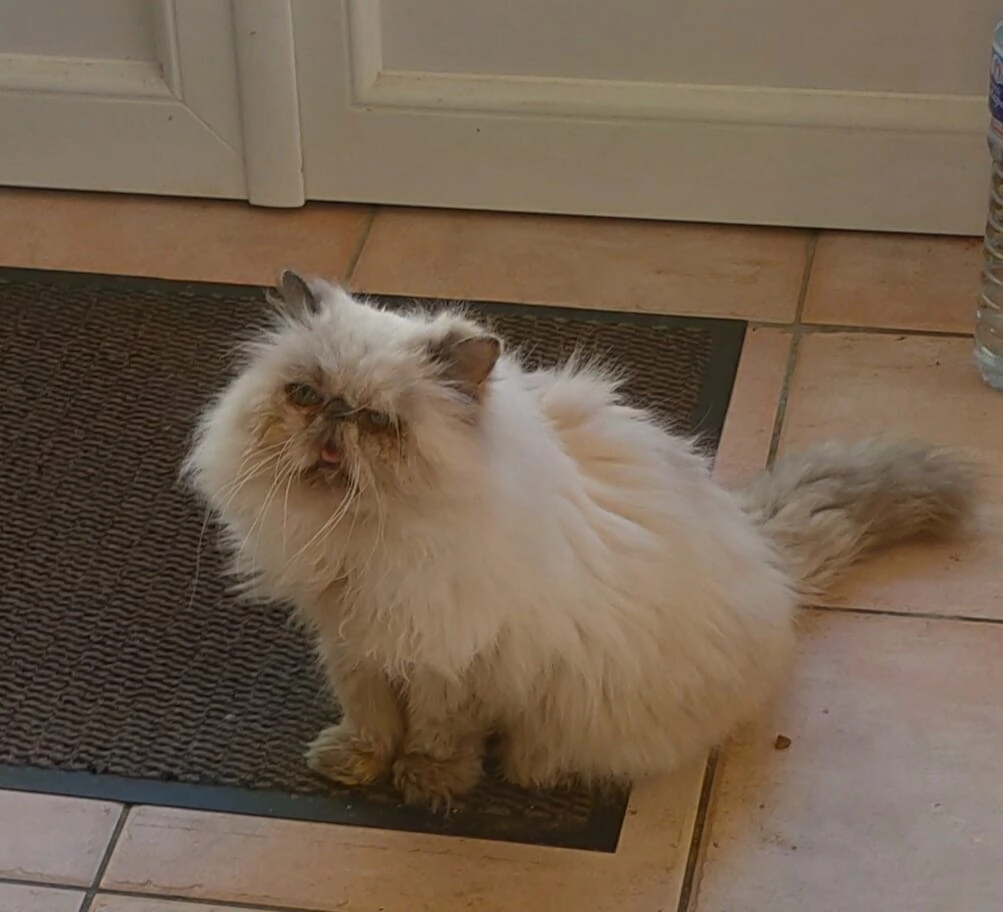 Chanel - Impasse Sainte-Claire, Limoges