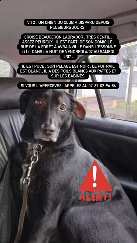 Vito  - Chemin Du Cimetière, Boissy-l'Aillerie