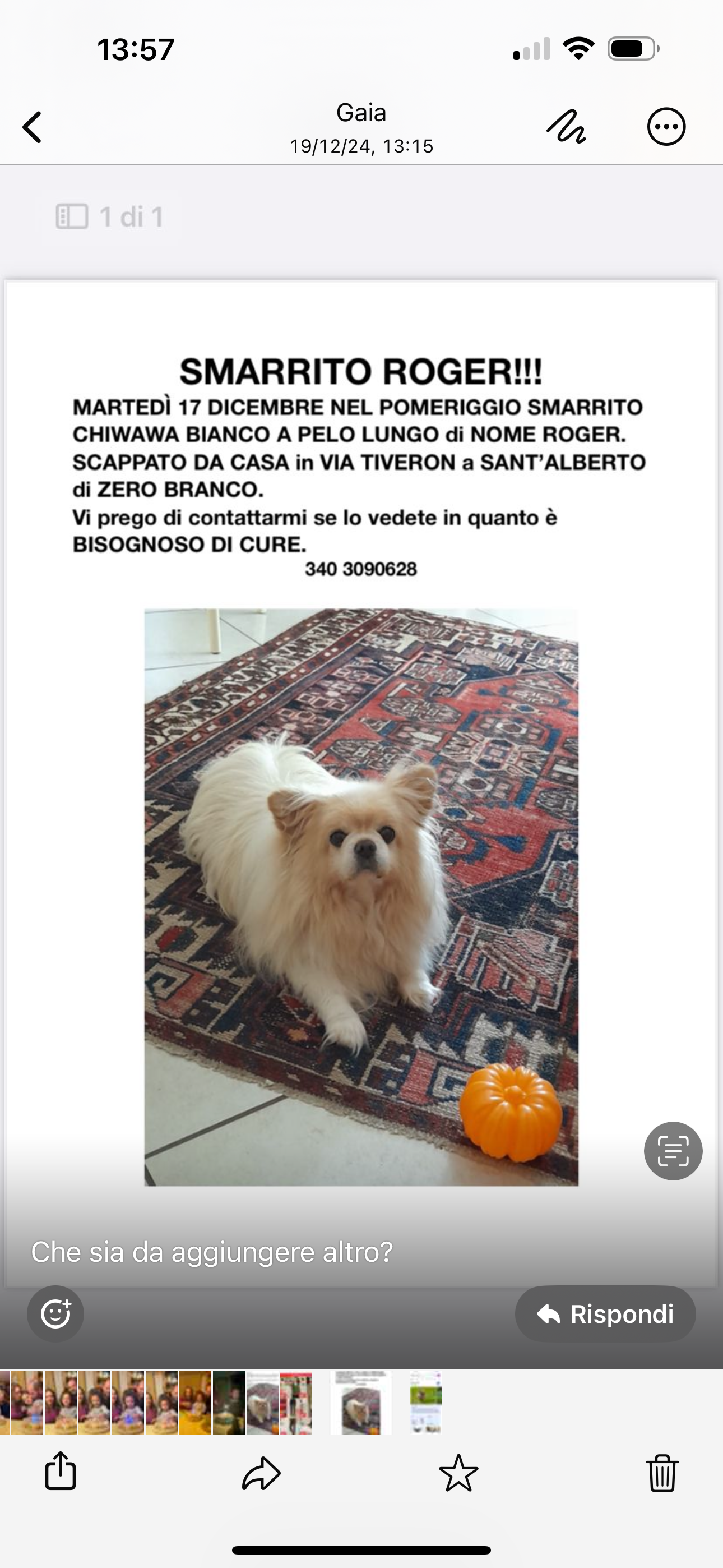 Roger - Via Tiveron , Sant’ Alberto di Zero branco