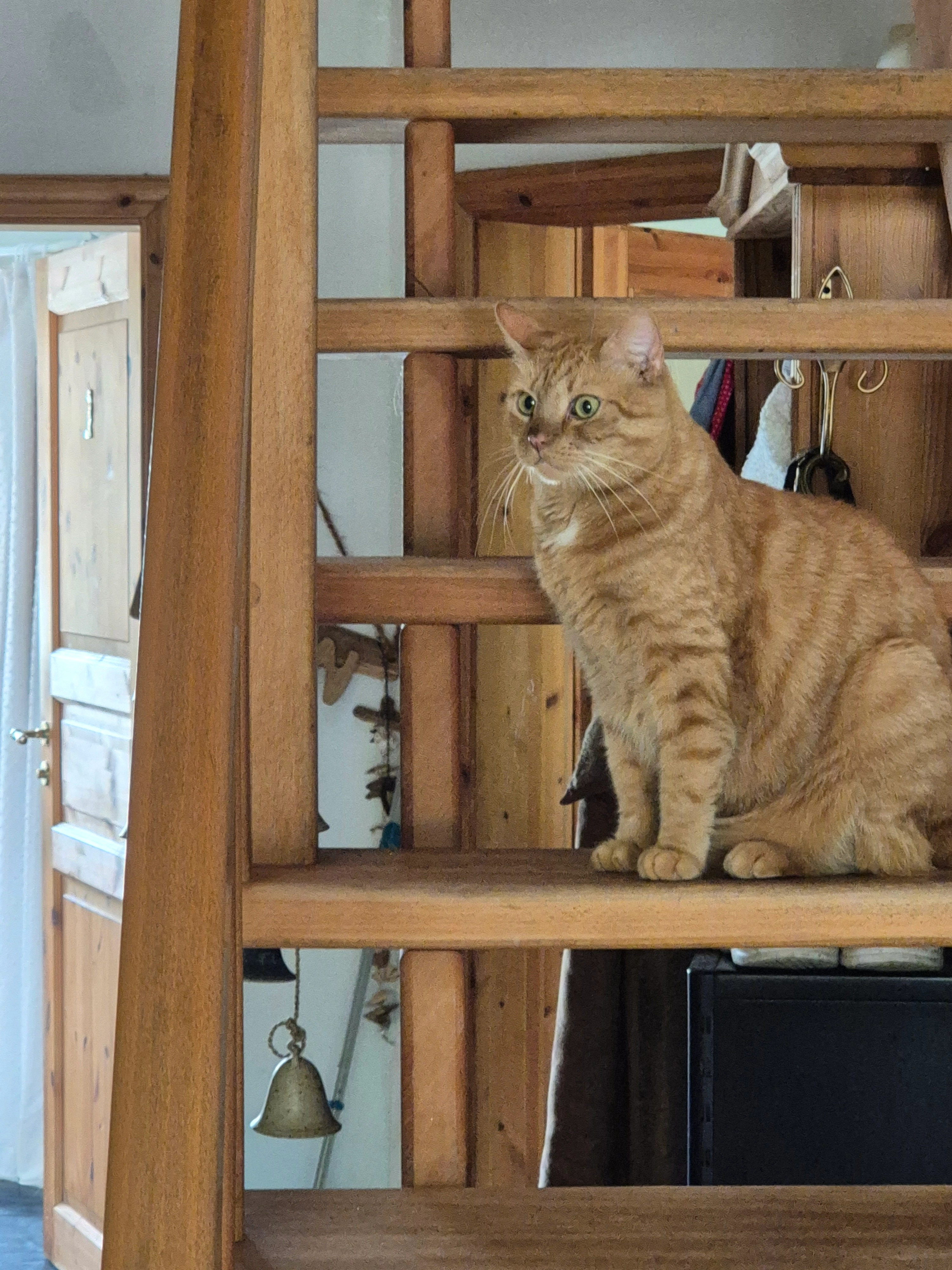 Bommes  - Pastor-Witt-Straße, Havetoft