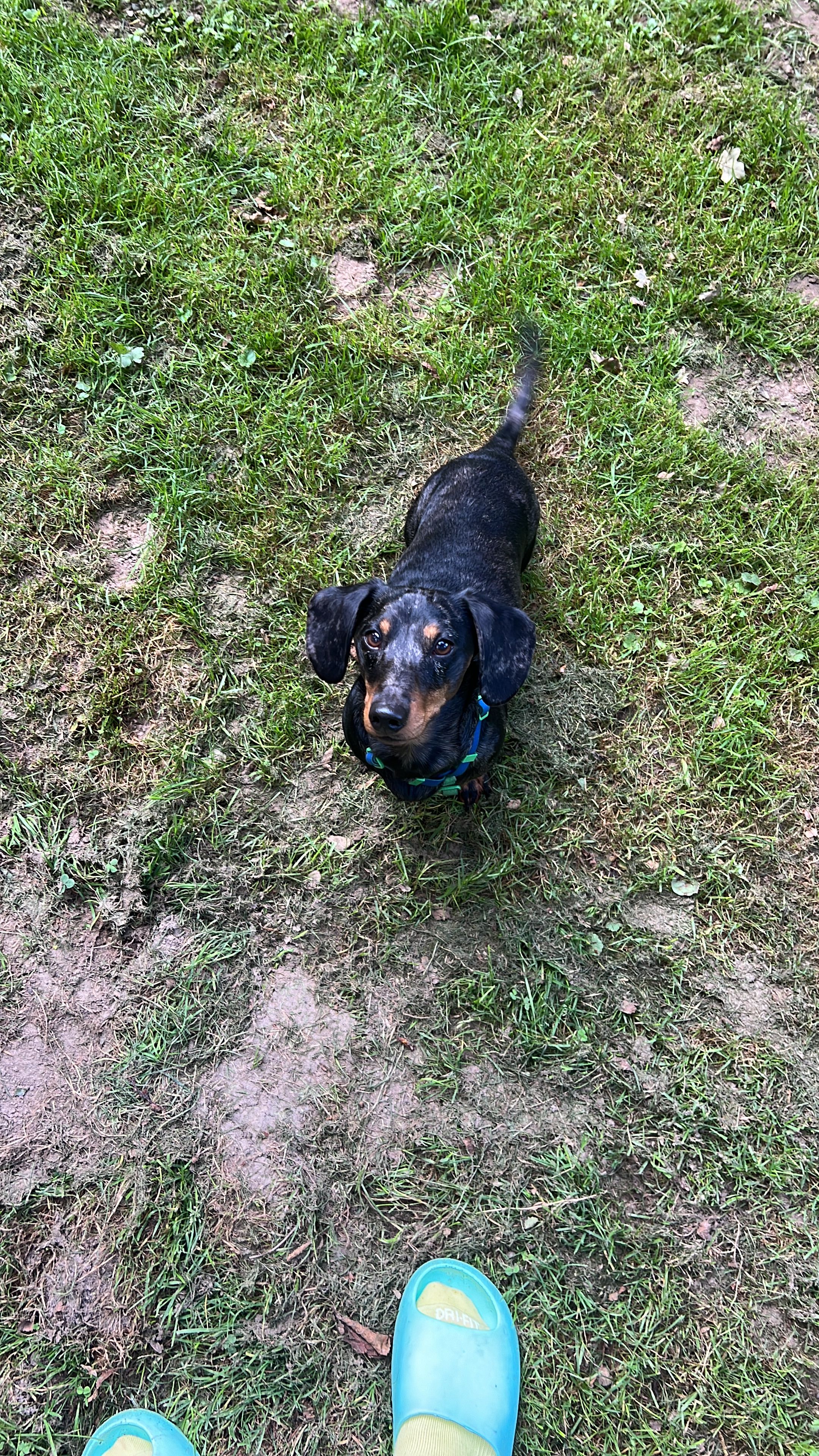 Timmie - Getfertsingel, Enschede