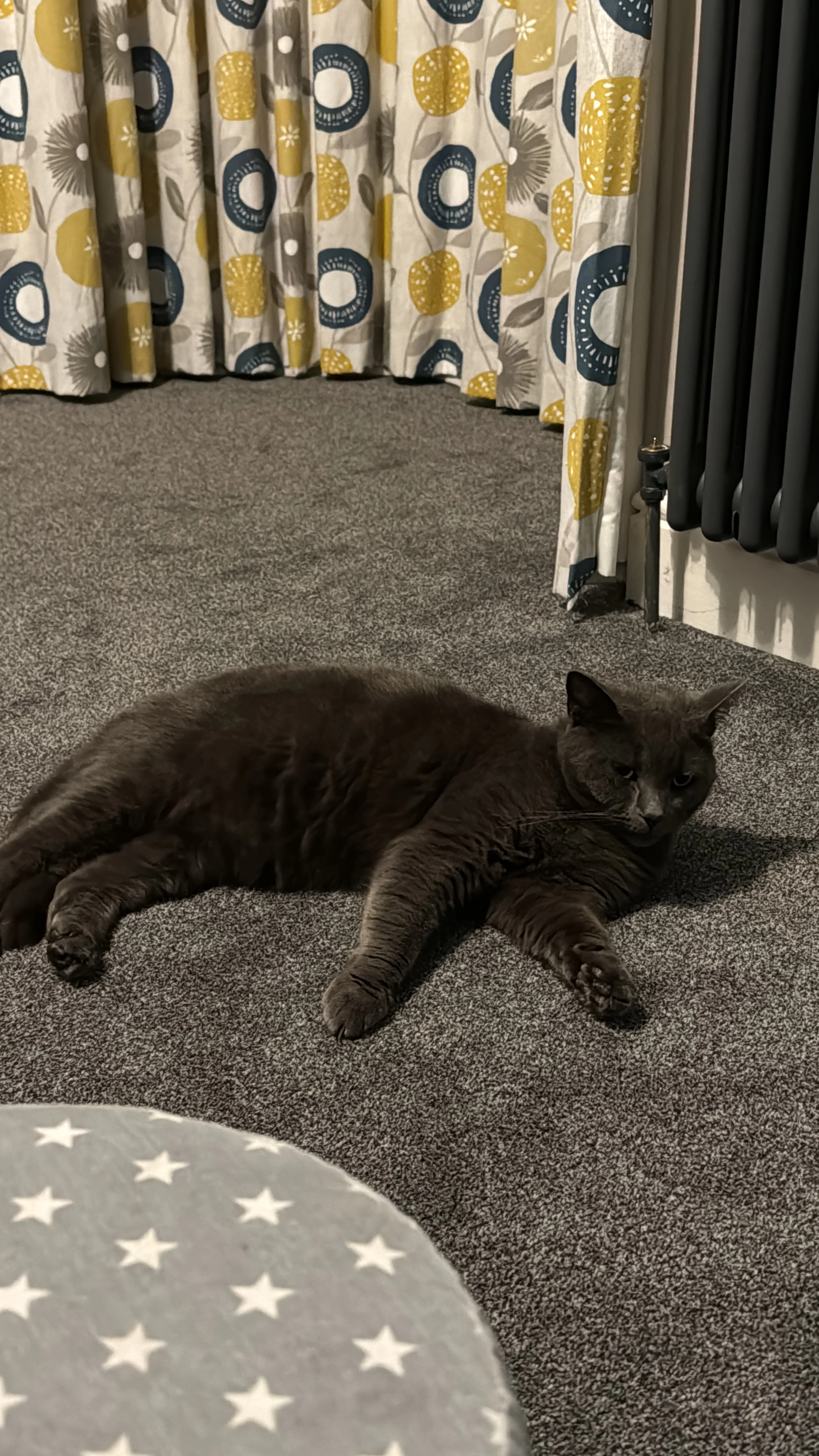 Kappy - Edinburgh Road, Norwich