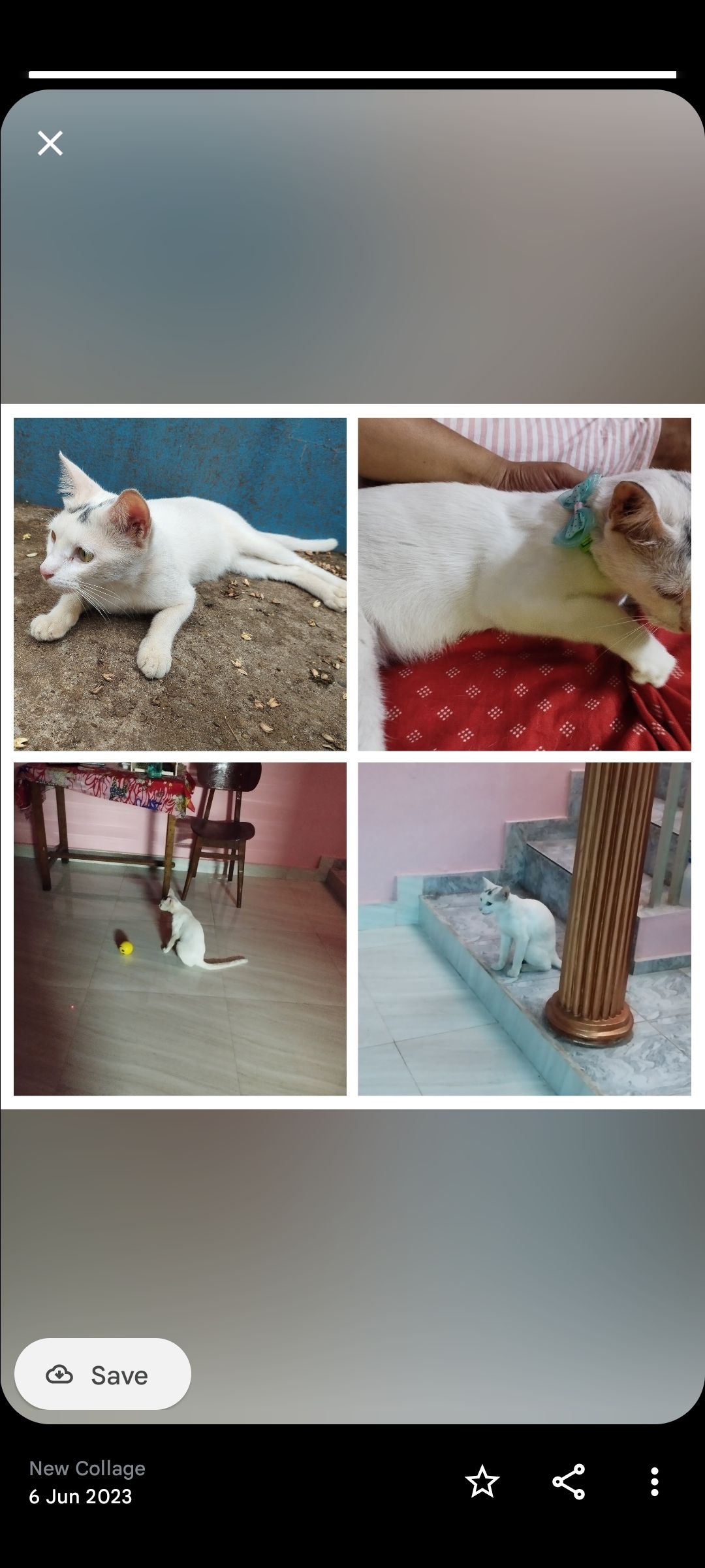 Poochu - Seetaram Mill Lane, Thrissur