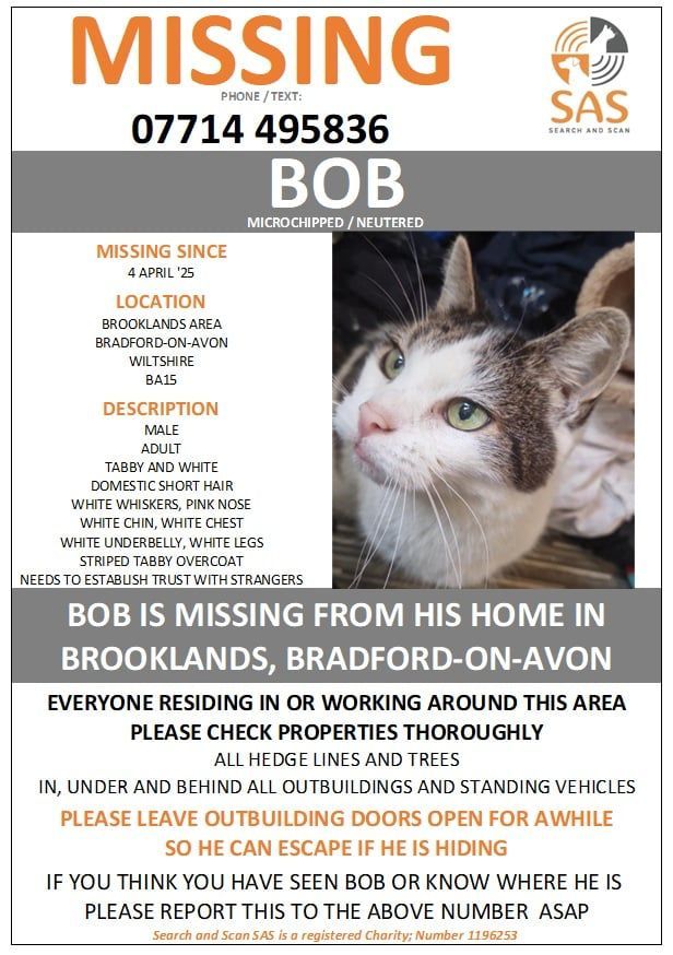 Bob - Bath Road, Bradford-on-Avon