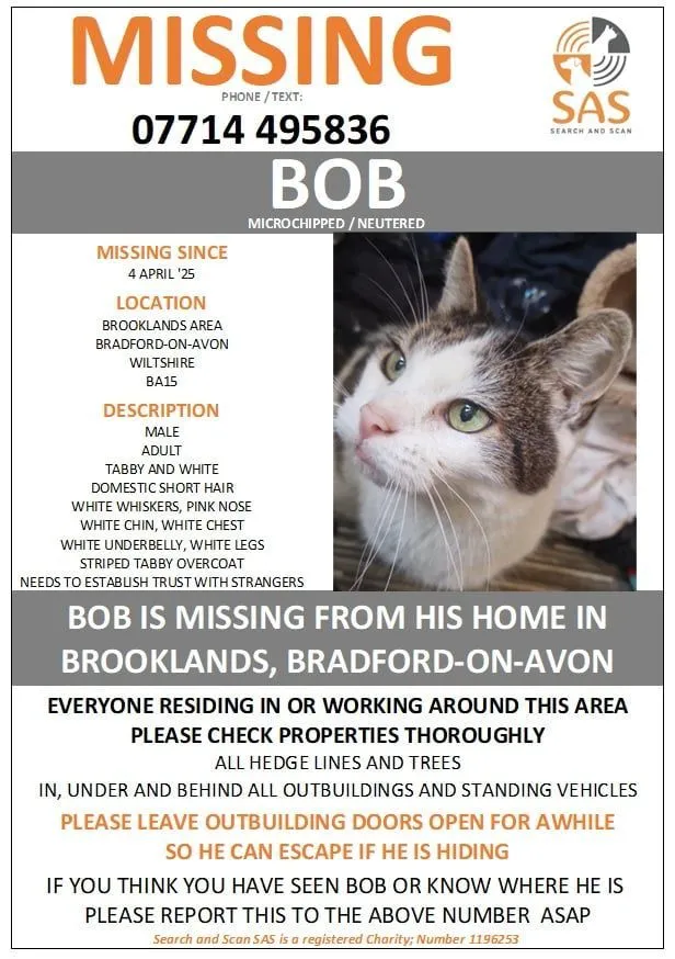 Bob - Bath Road, Bradford-on-Avon