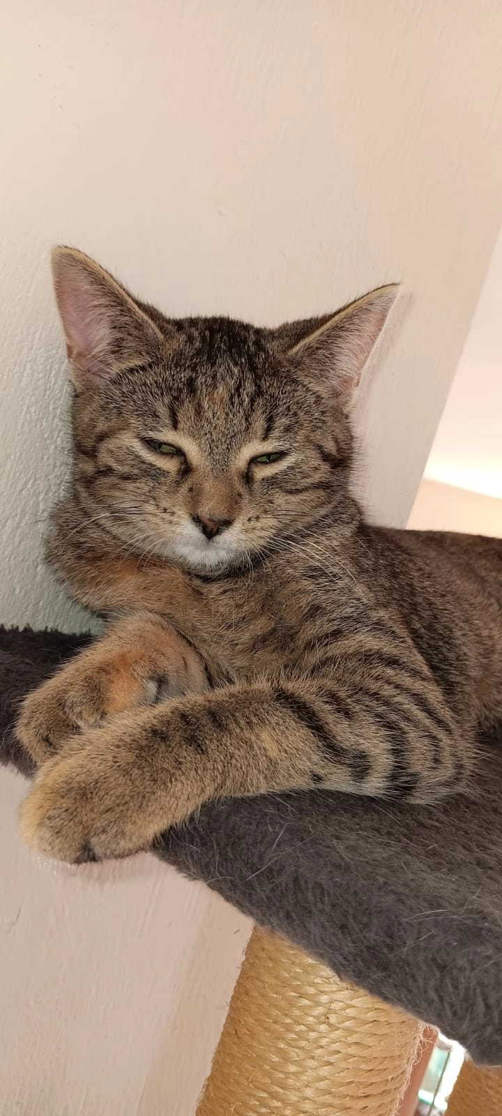 Speedy  - Am Hang, Waldfischbach-Burgalben