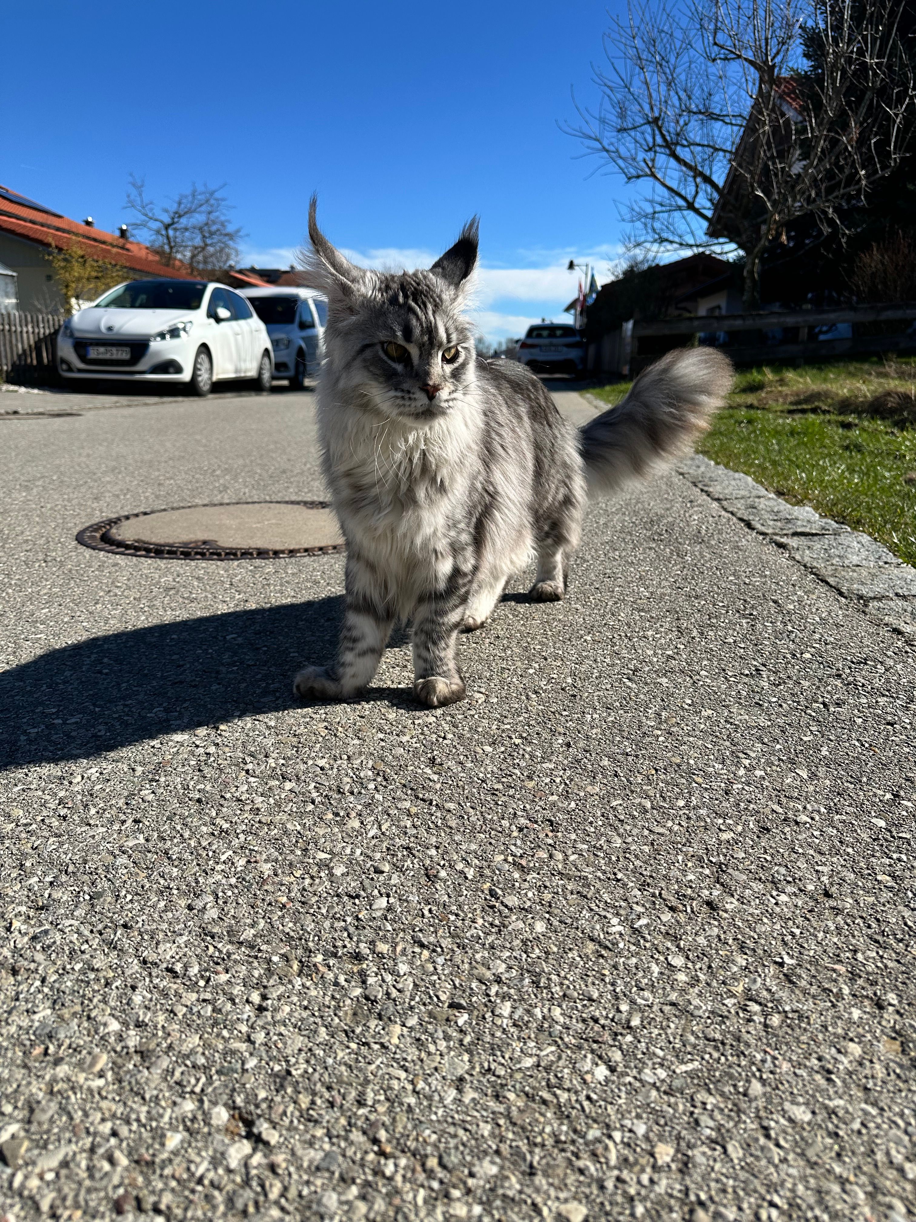 Zeus - Geigelsteinstraße, Grassau