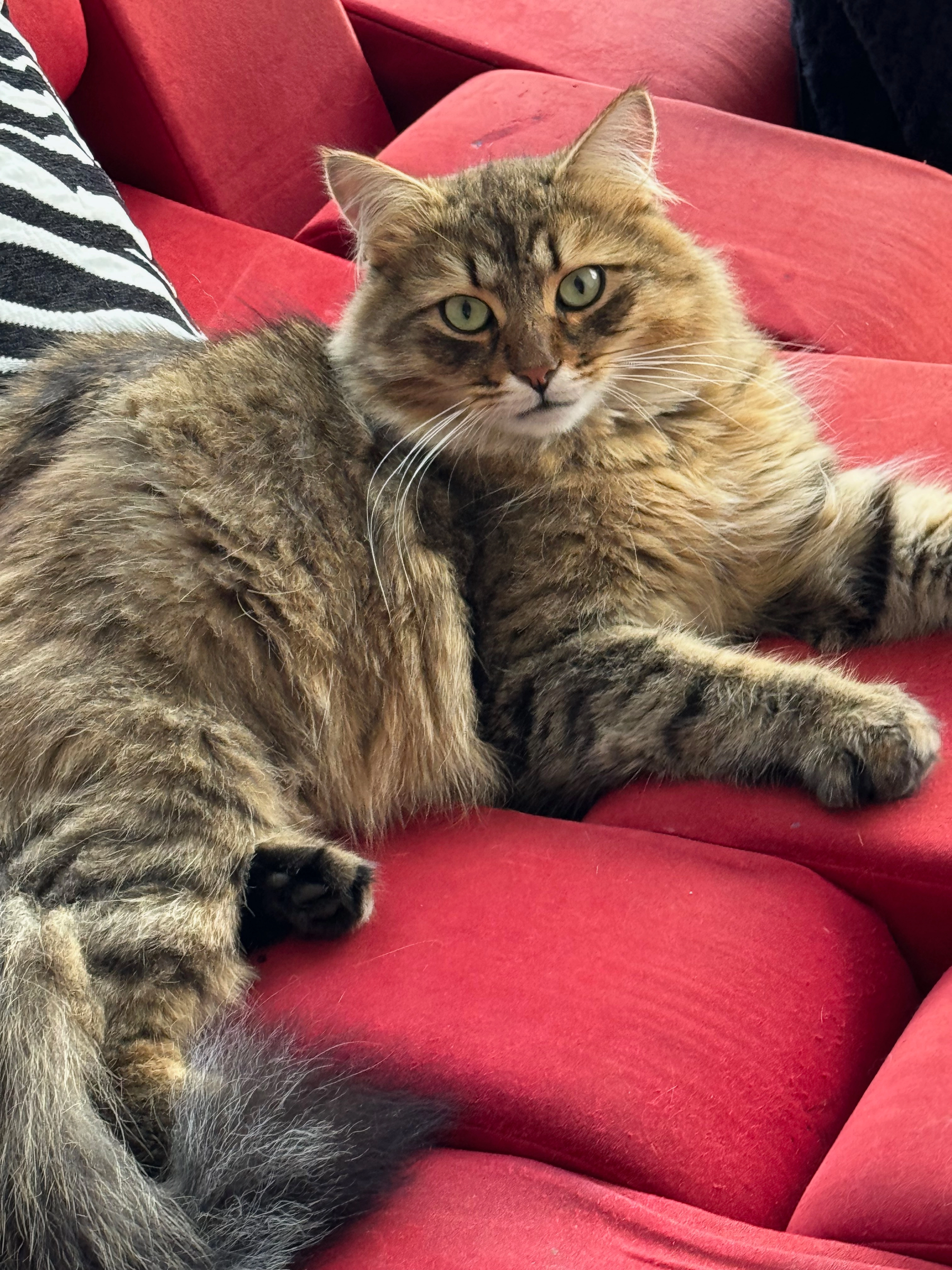 Miro - Hollenweg 49, Reinach BL