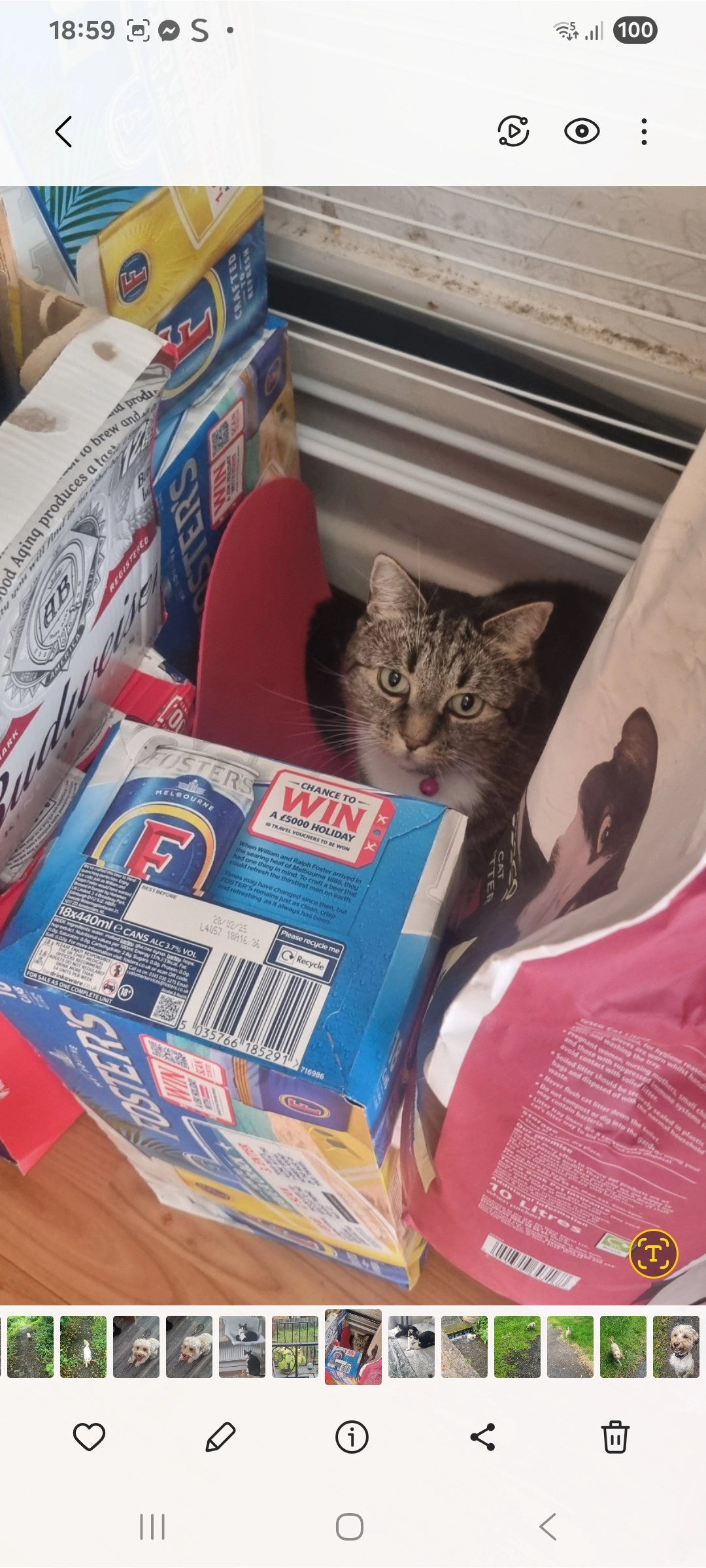 Millie - BS15 4JG, Bristol