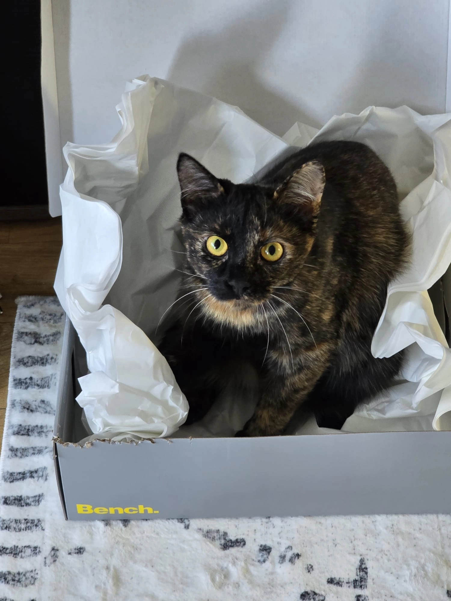 Cookie  - Akazienallee, Baunatal