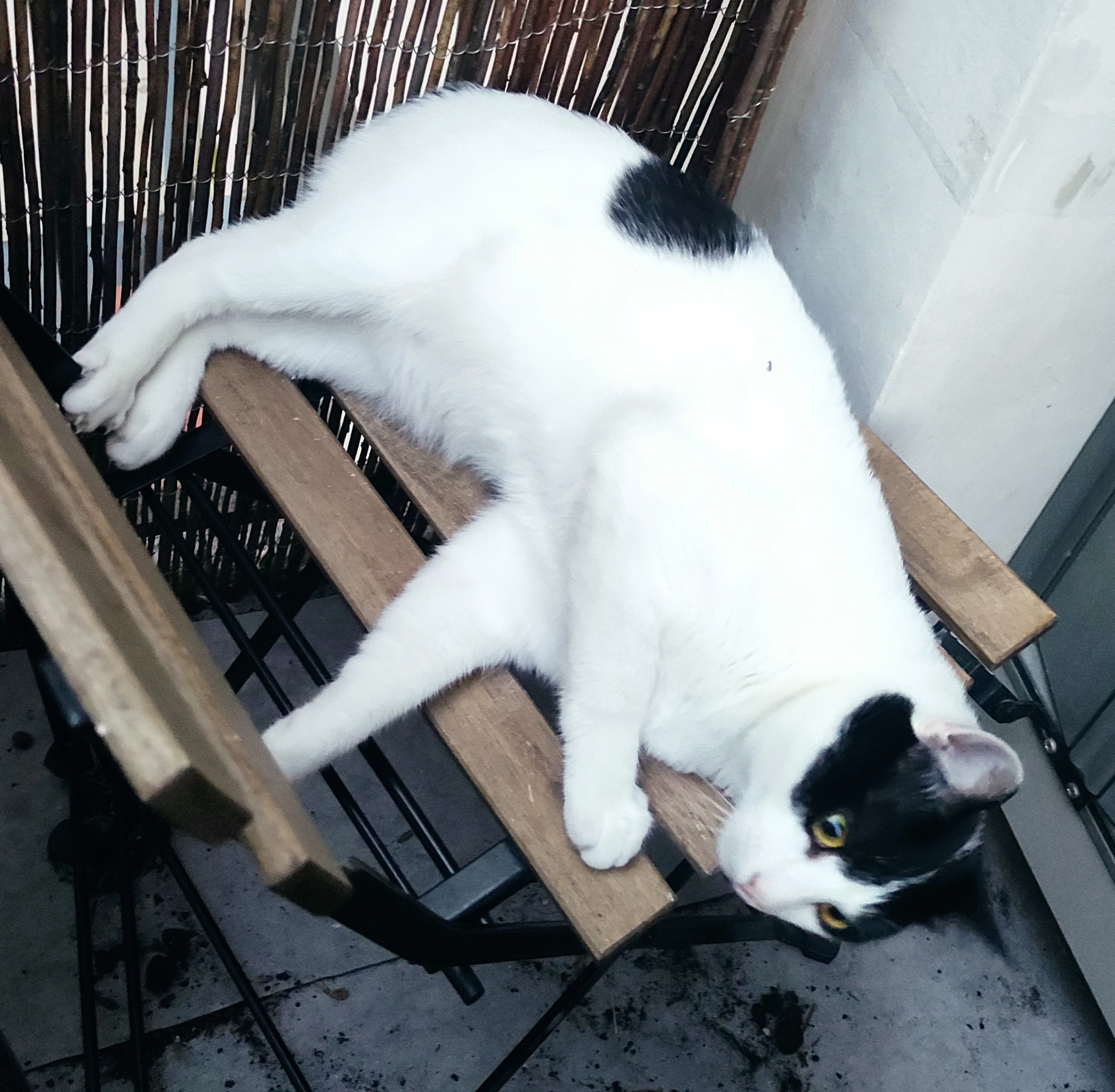 Zigzag - Rue De La Victoire, Tours