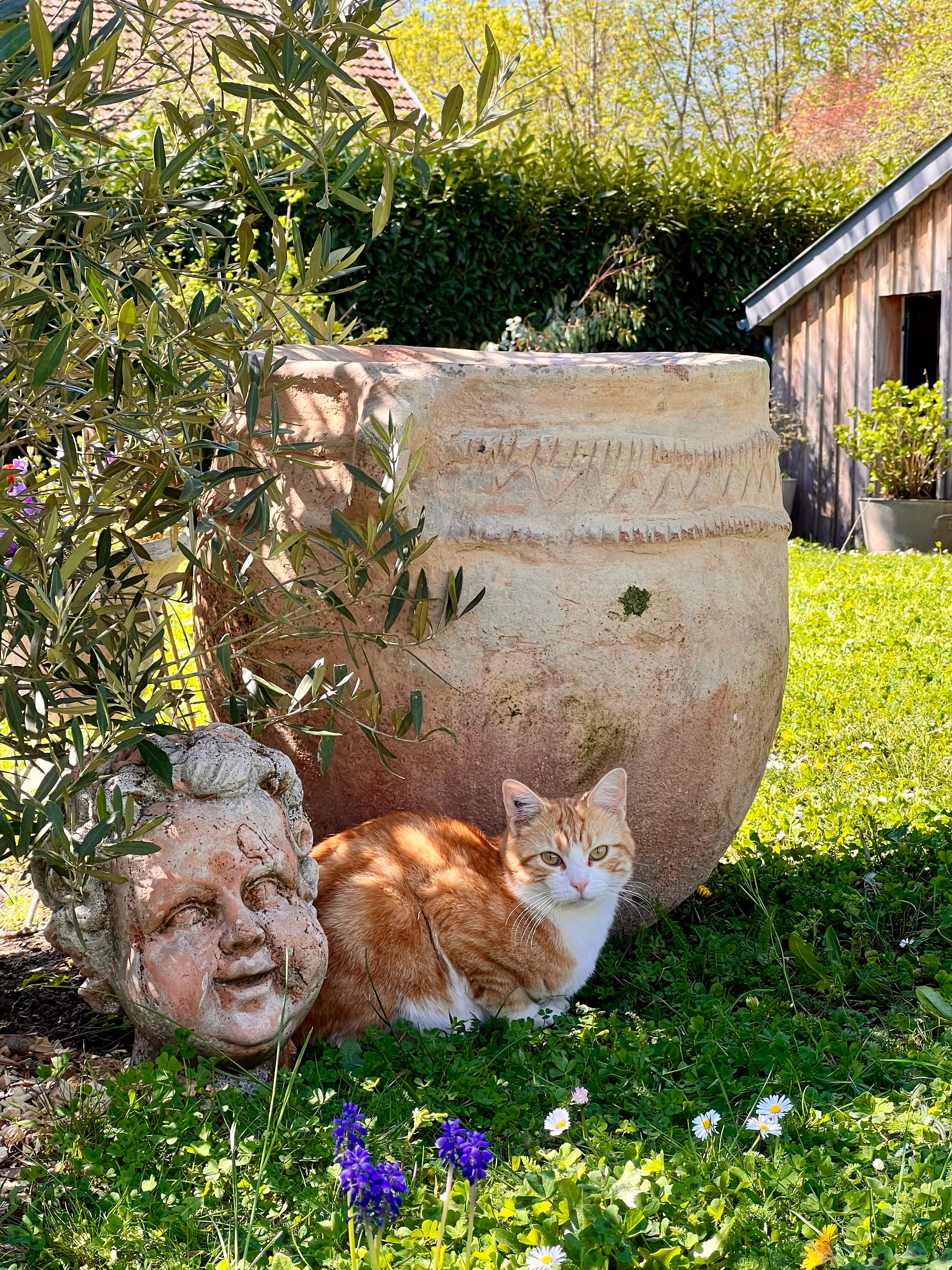 Uno - Rue de la Croix de Rome, Montfort-l'Amaury