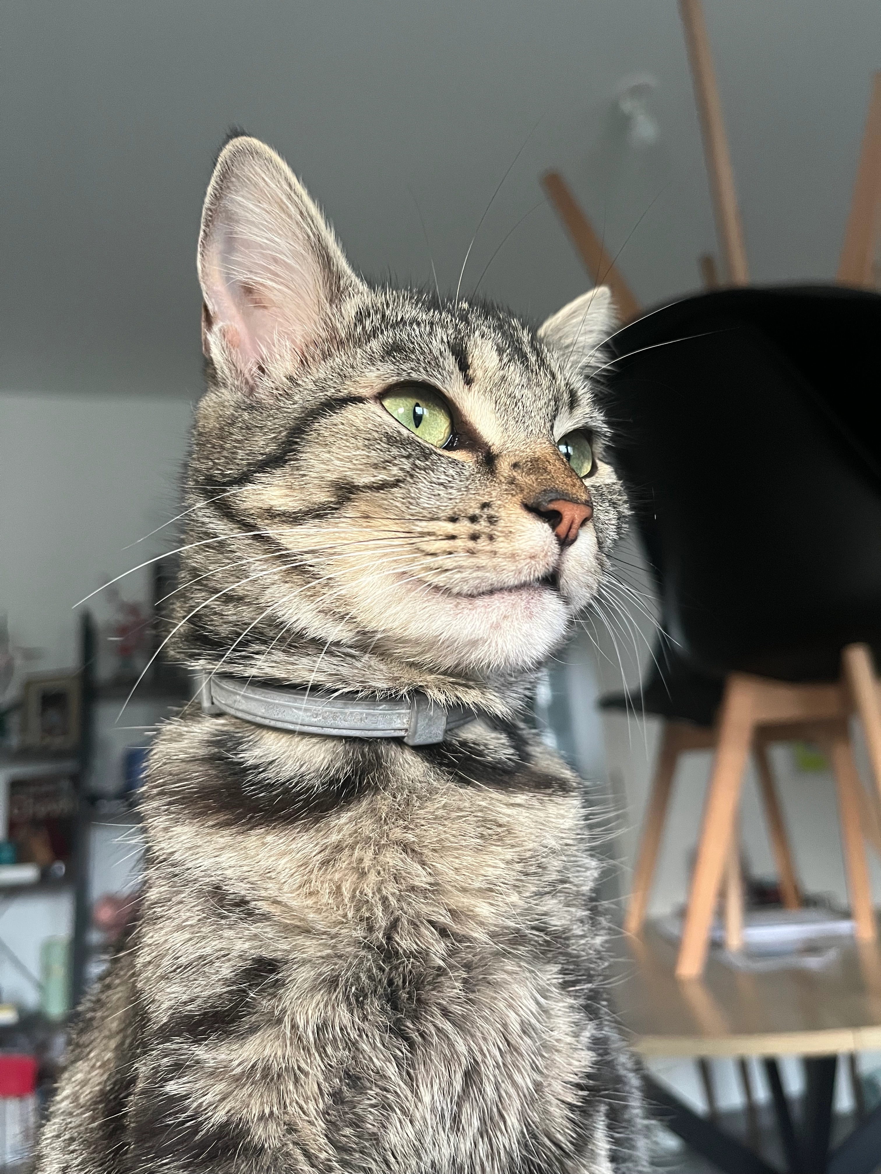 Moon - Rue De La Meuse, Faulquemont