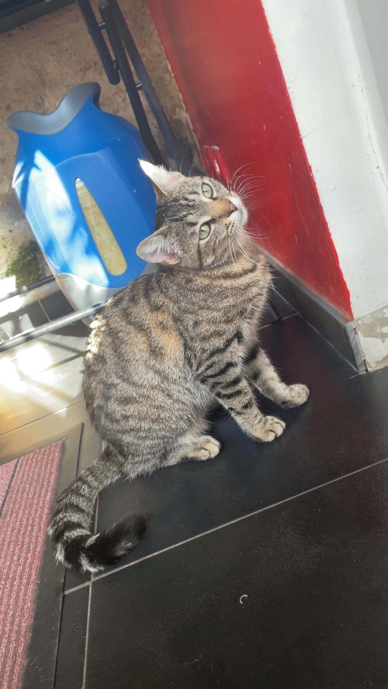 Maîna - 19 Avenue de l'Europe, Les Peintures